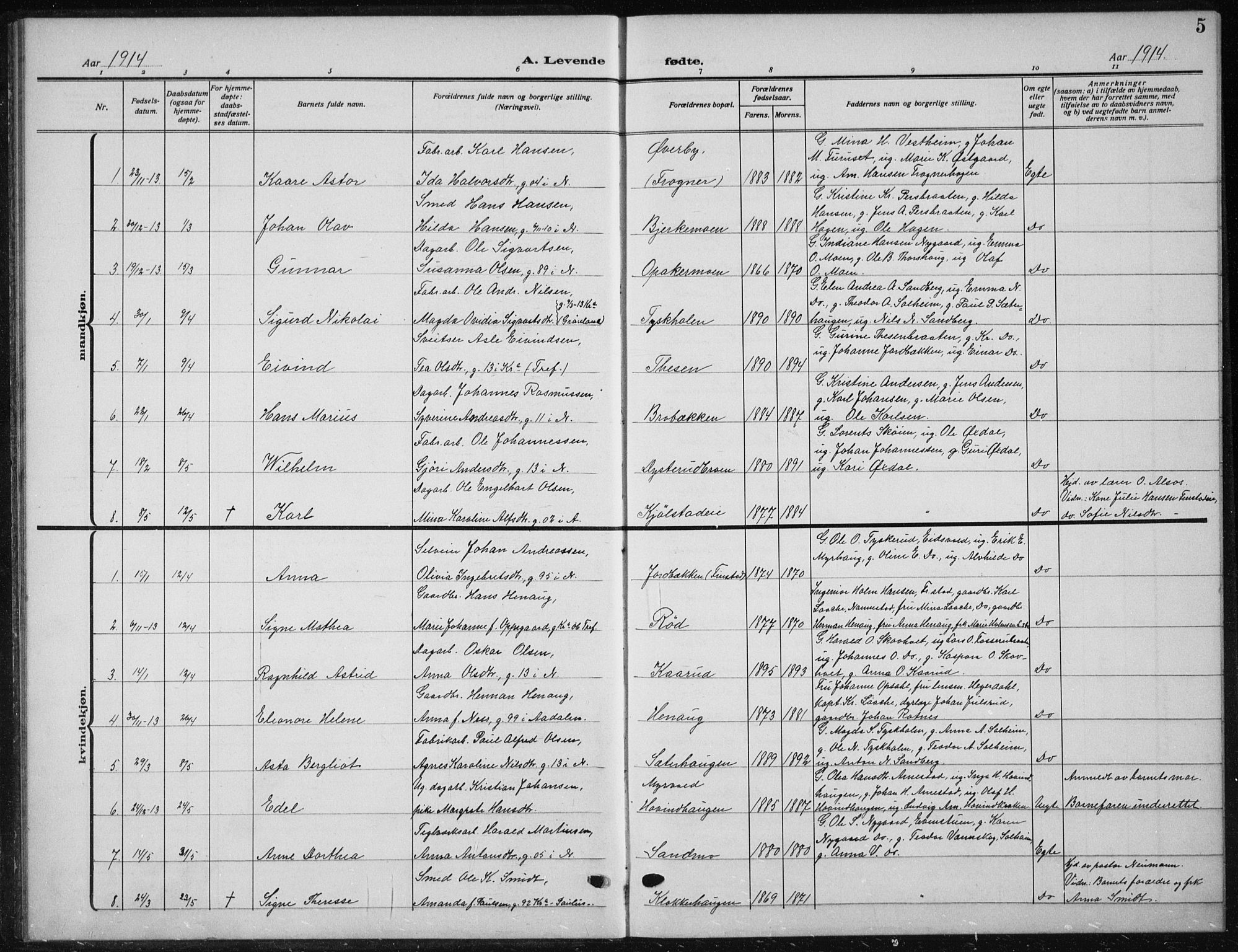 Nes prestekontor Kirkebøker, AV/SAO-A-10410/G/Ga/L0003: Parish register (copy) no. I 3, 1913-1941, p. 5