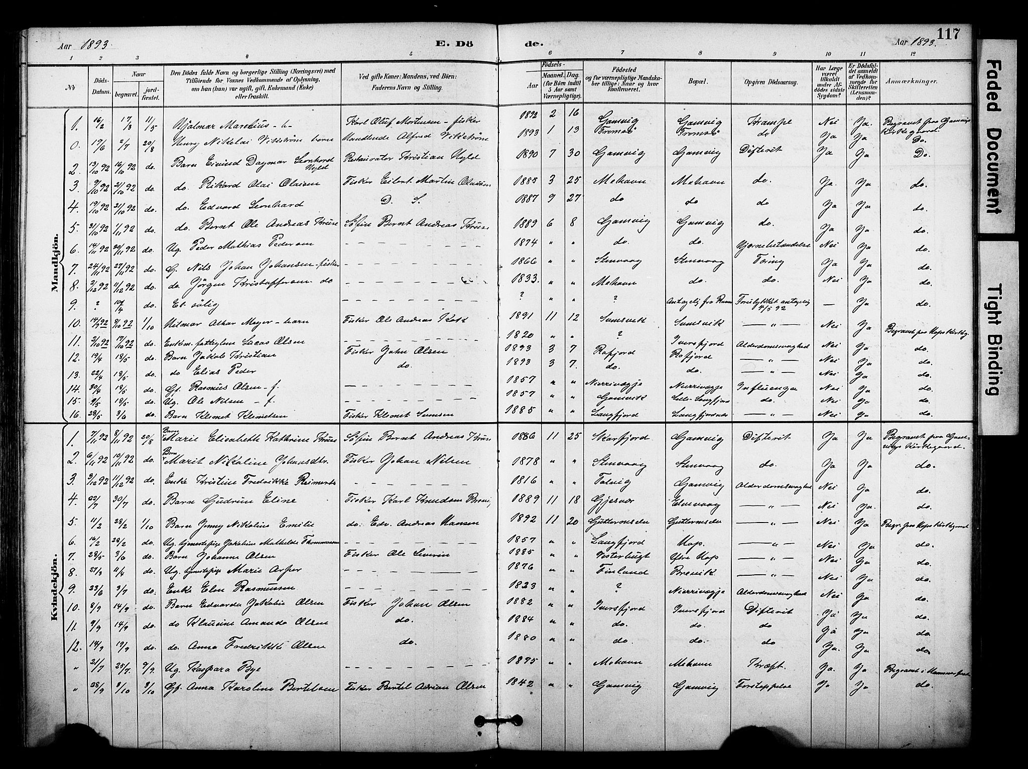 Tana sokneprestkontor, SATØ/S-1334/H/Ha/L0006kirke: Parish register (official) no. 6, 1892-1908, p. 117
