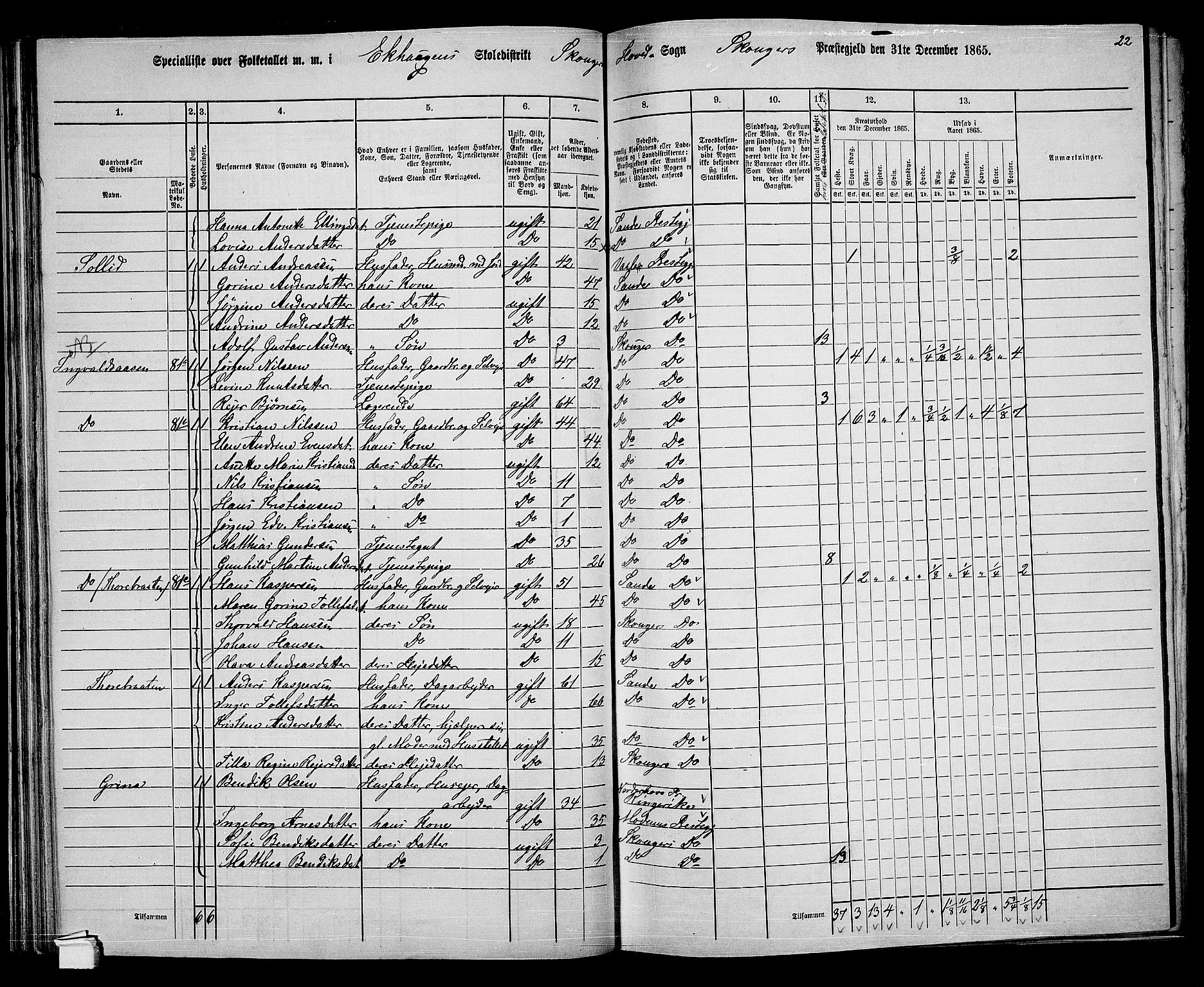 RA, 1865 census for Skoger, 1865, p. 62