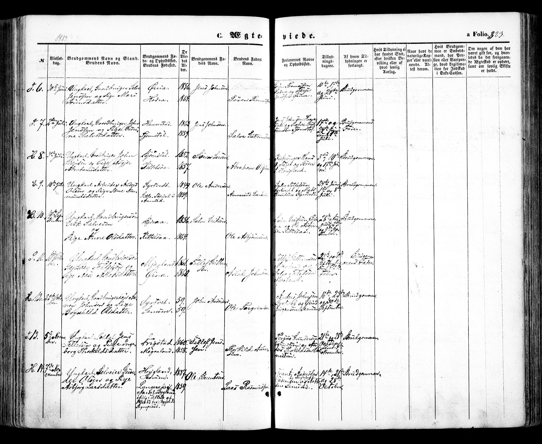 Evje sokneprestkontor, AV/SAK-1111-0008/F/Fa/Faa/L0006: Parish register (official) no. A 6, 1866-1884, p. 323