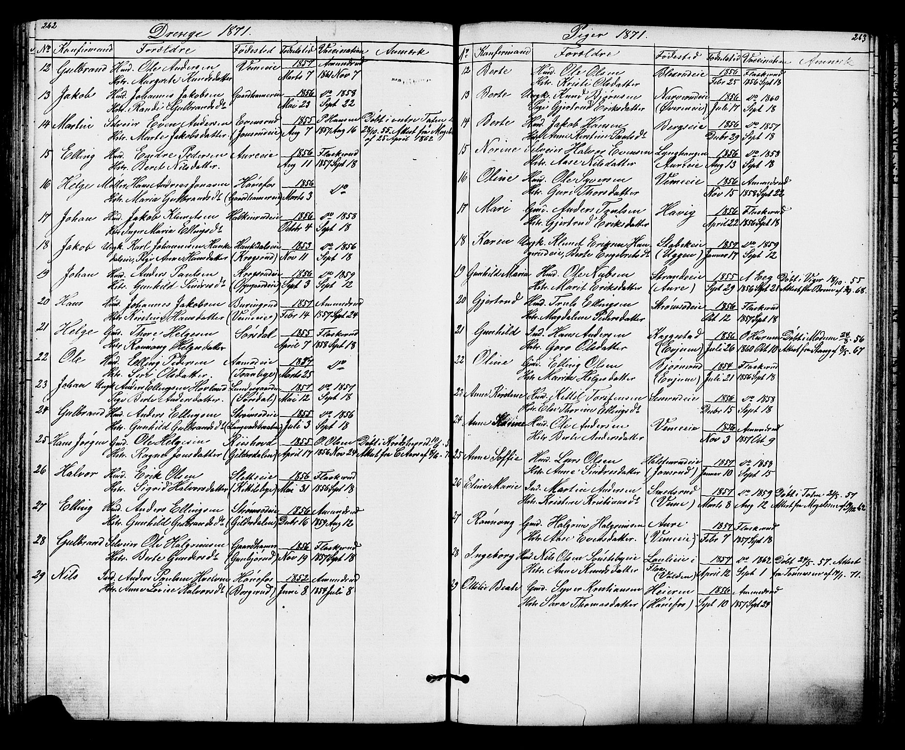 Lunder kirkebøker, SAKO/A-629/G/Ga/L0003a: Parish register (copy) no. I 3, 1869-1888, p. 262-263