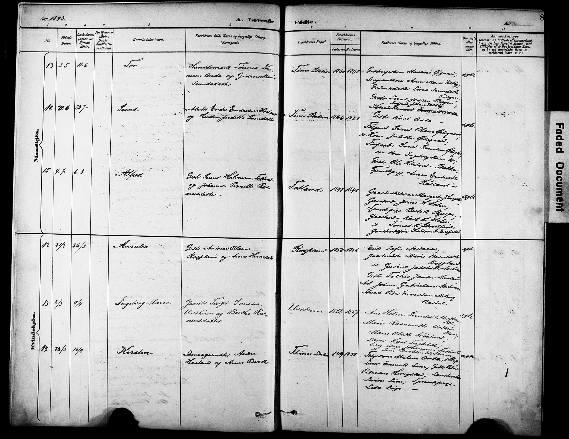 Lye sokneprestkontor, AV/SAST-A-101794/001/30BA/L0011: Parish register (official) no. A 9, 1893-1903, p. 8