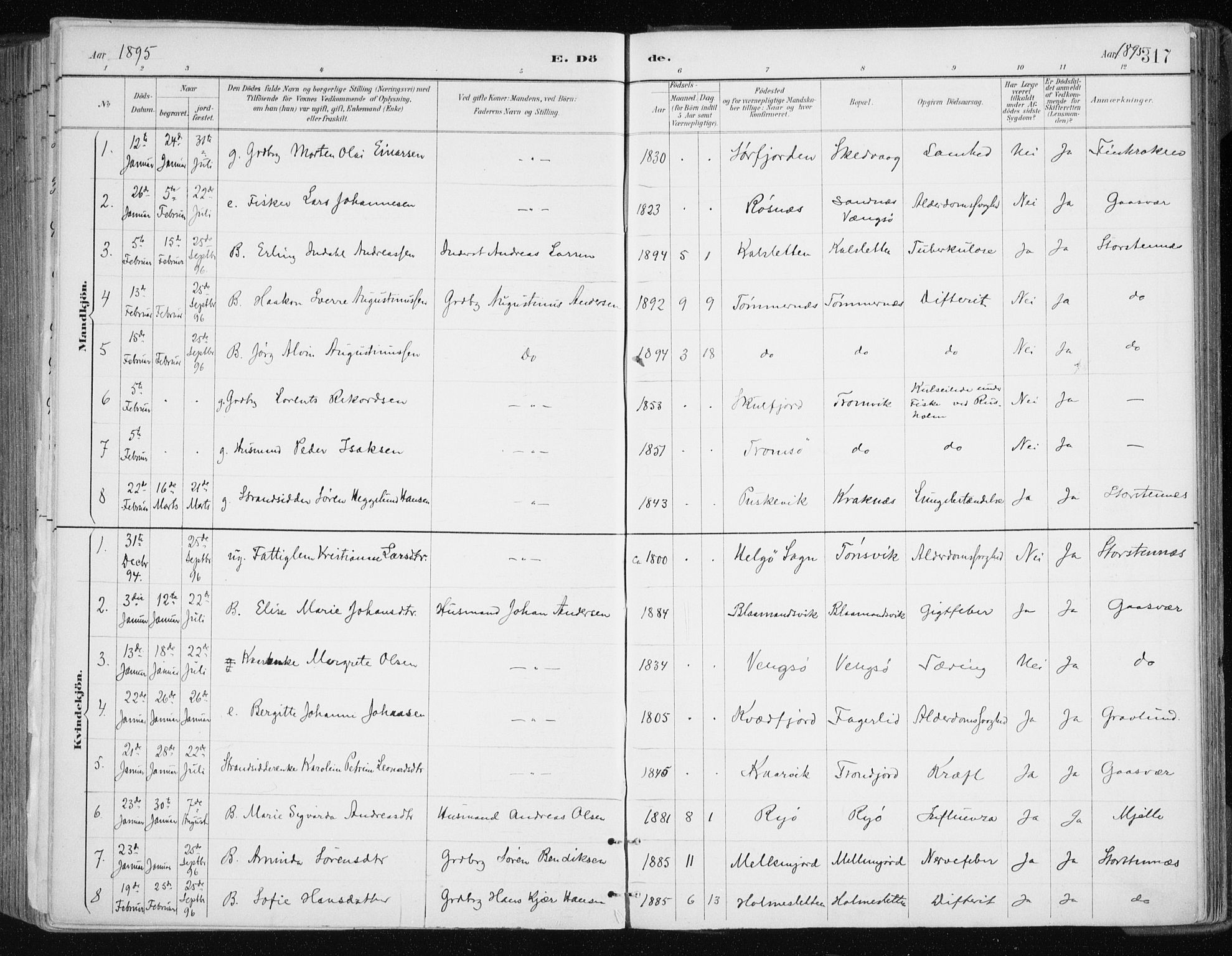 Tromsøysund sokneprestkontor, AV/SATØ-S-1304/G/Ga/L0005kirke: Parish register (official) no. 5, 1888-1896, p. 317