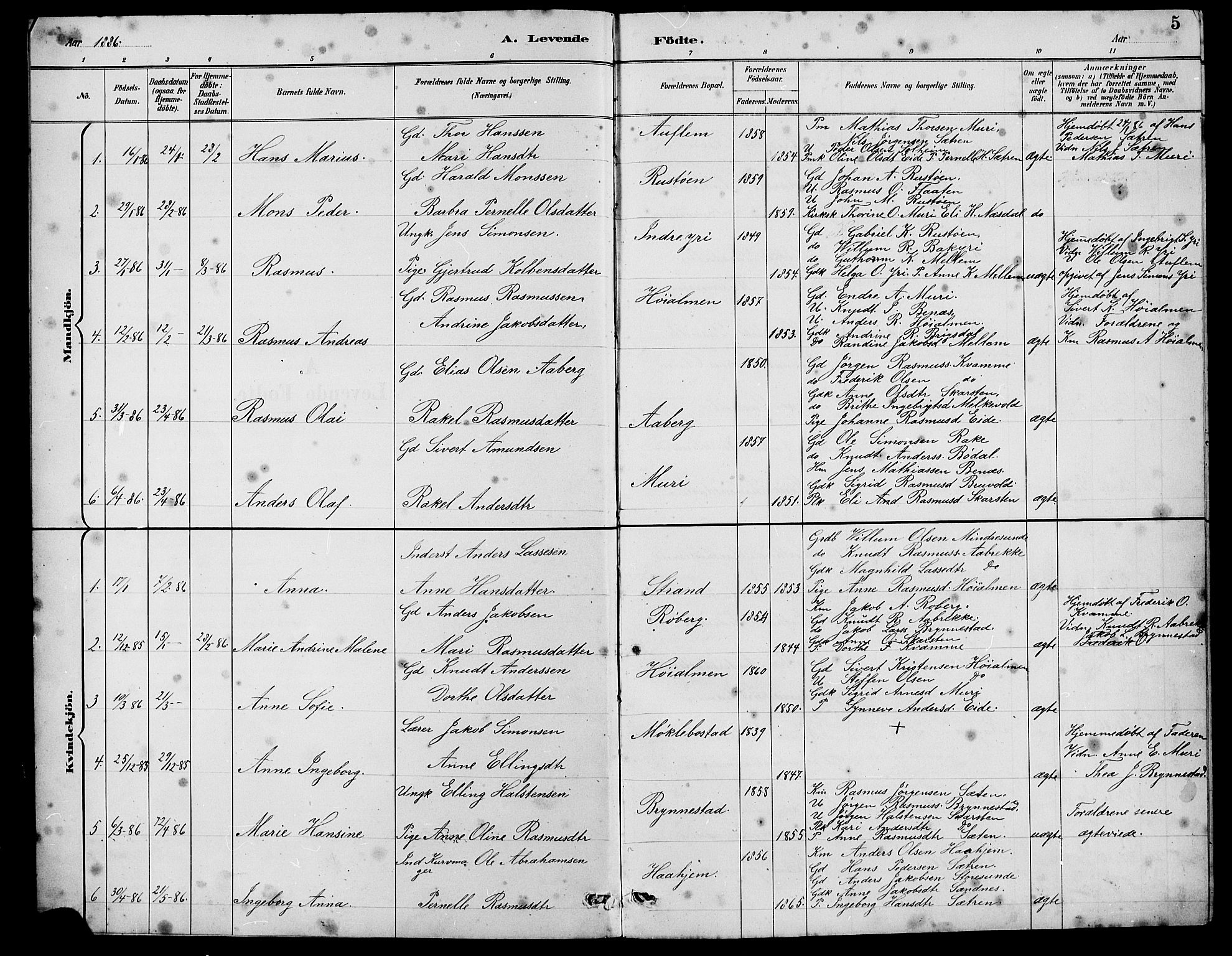 Innvik sokneprestembete, SAB/A-80501: Parish register (copy) no. B 3, 1886-1897, p. 5