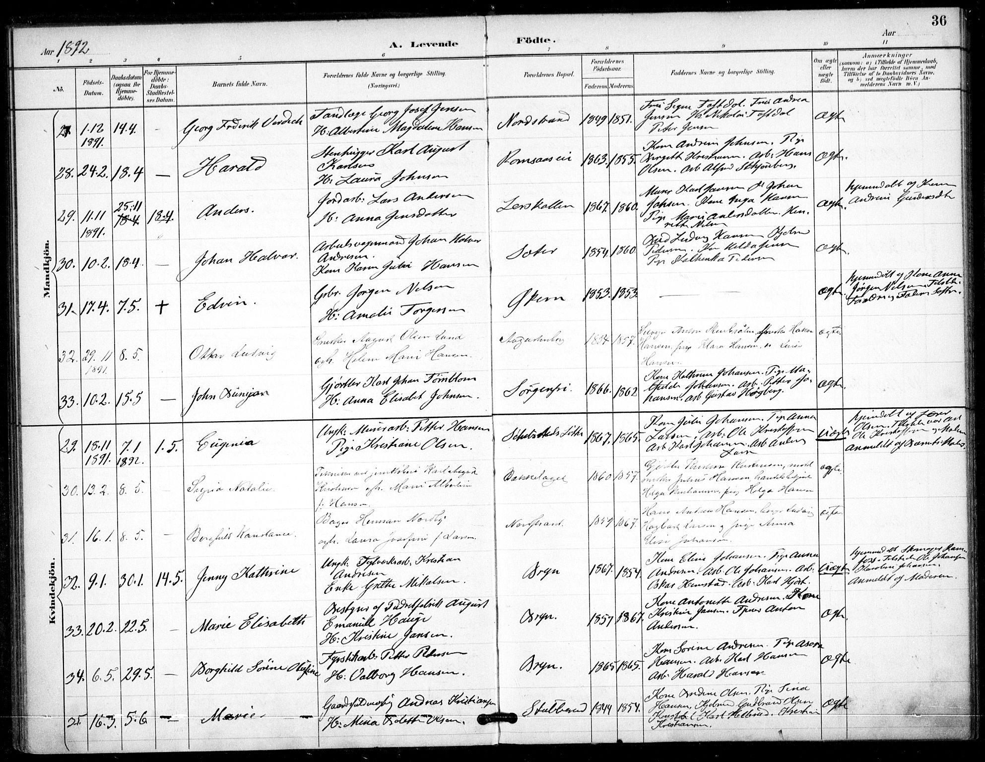 Østre Aker prestekontor Kirkebøker, AV/SAO-A-10840/F/Fa/L0009: Parish register (official) no. I 9, 1890-1894, p. 36