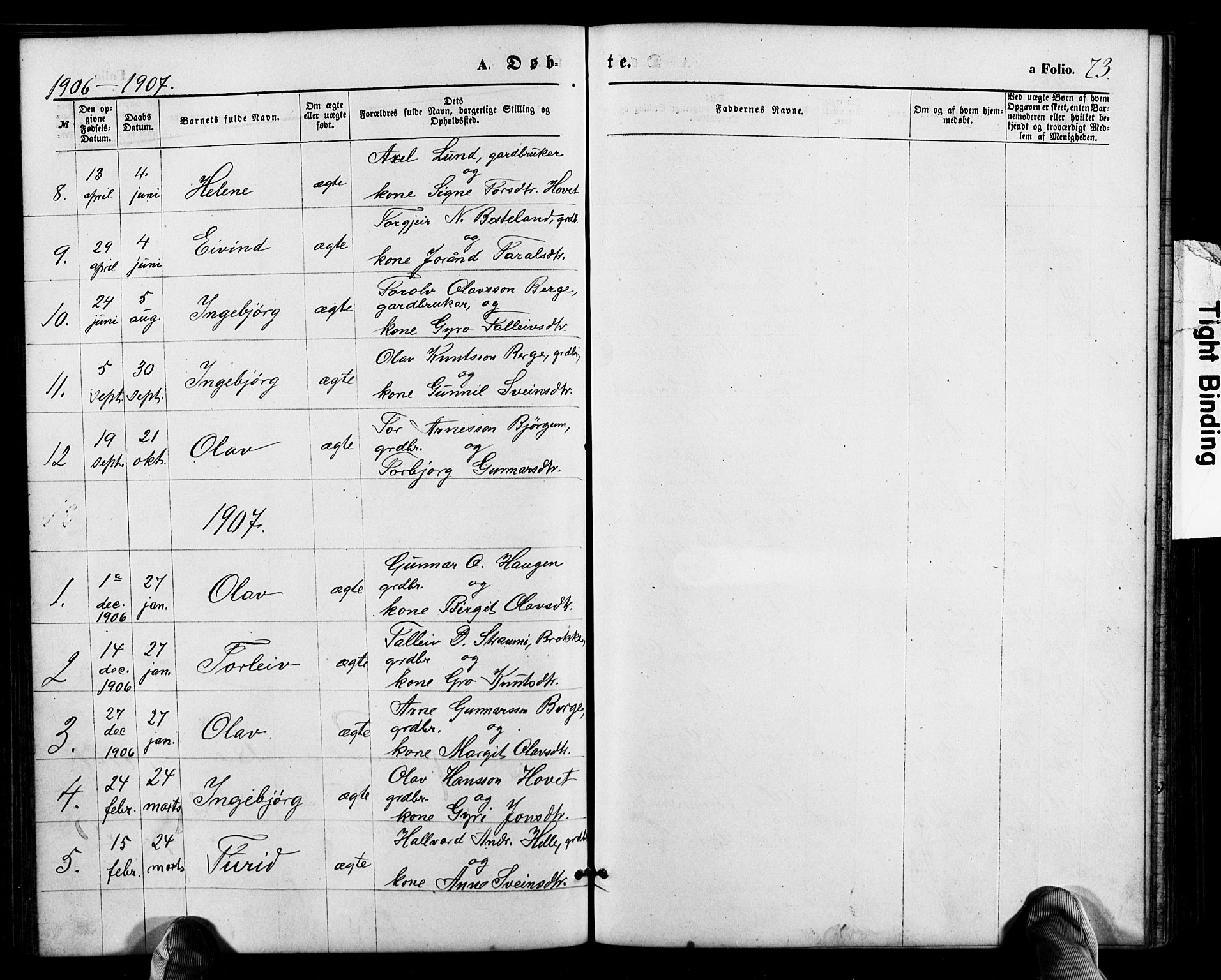 Valle sokneprestkontor, AV/SAK-1111-0044/F/Fb/Fbb/L0002: Parish register (copy) no. B 2, 1875-1921, p. 73