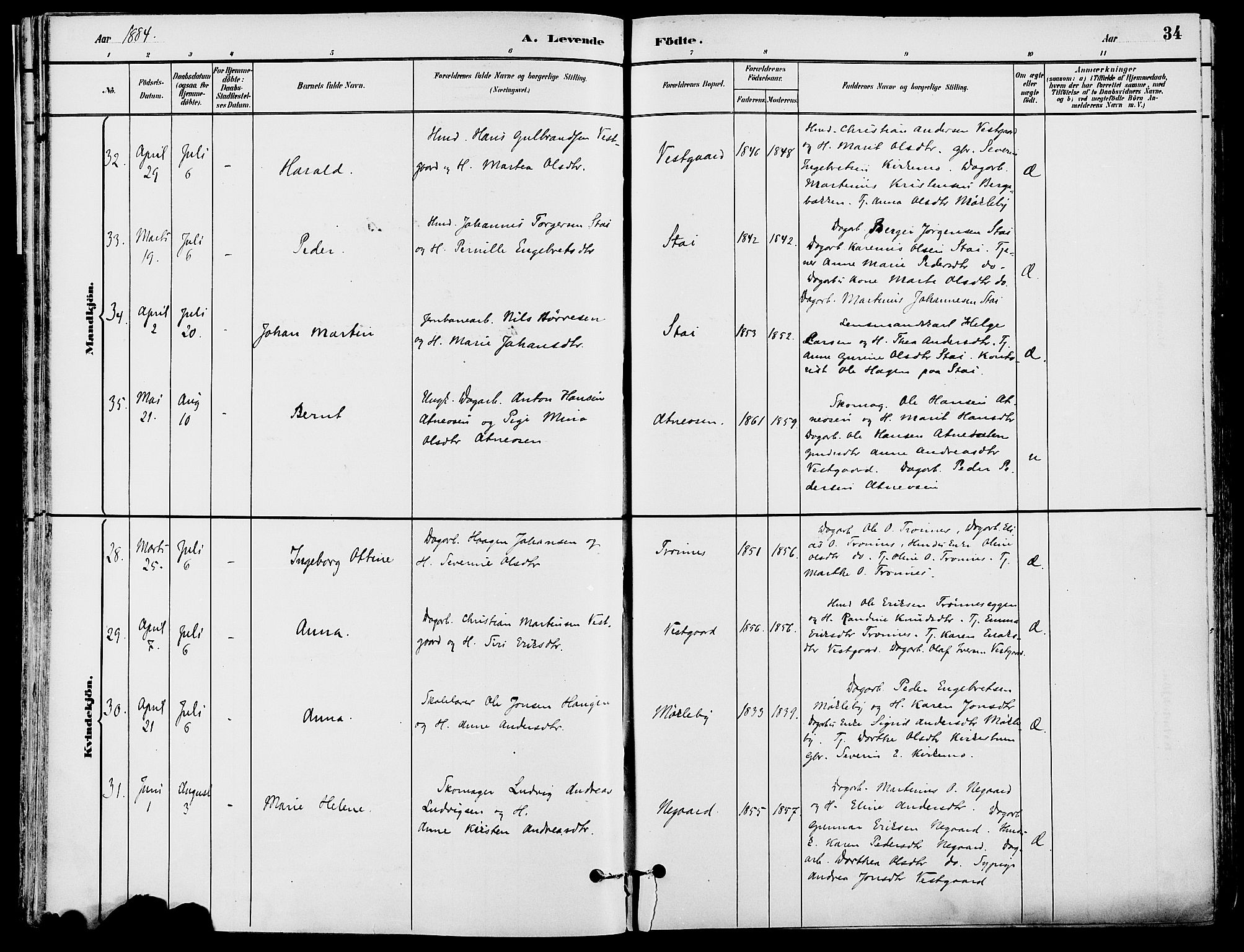 Stor-Elvdal prestekontor, SAH/PREST-052/H/Ha/Haa/L0002: Parish register (official) no. 2, 1882-1907, p. 34