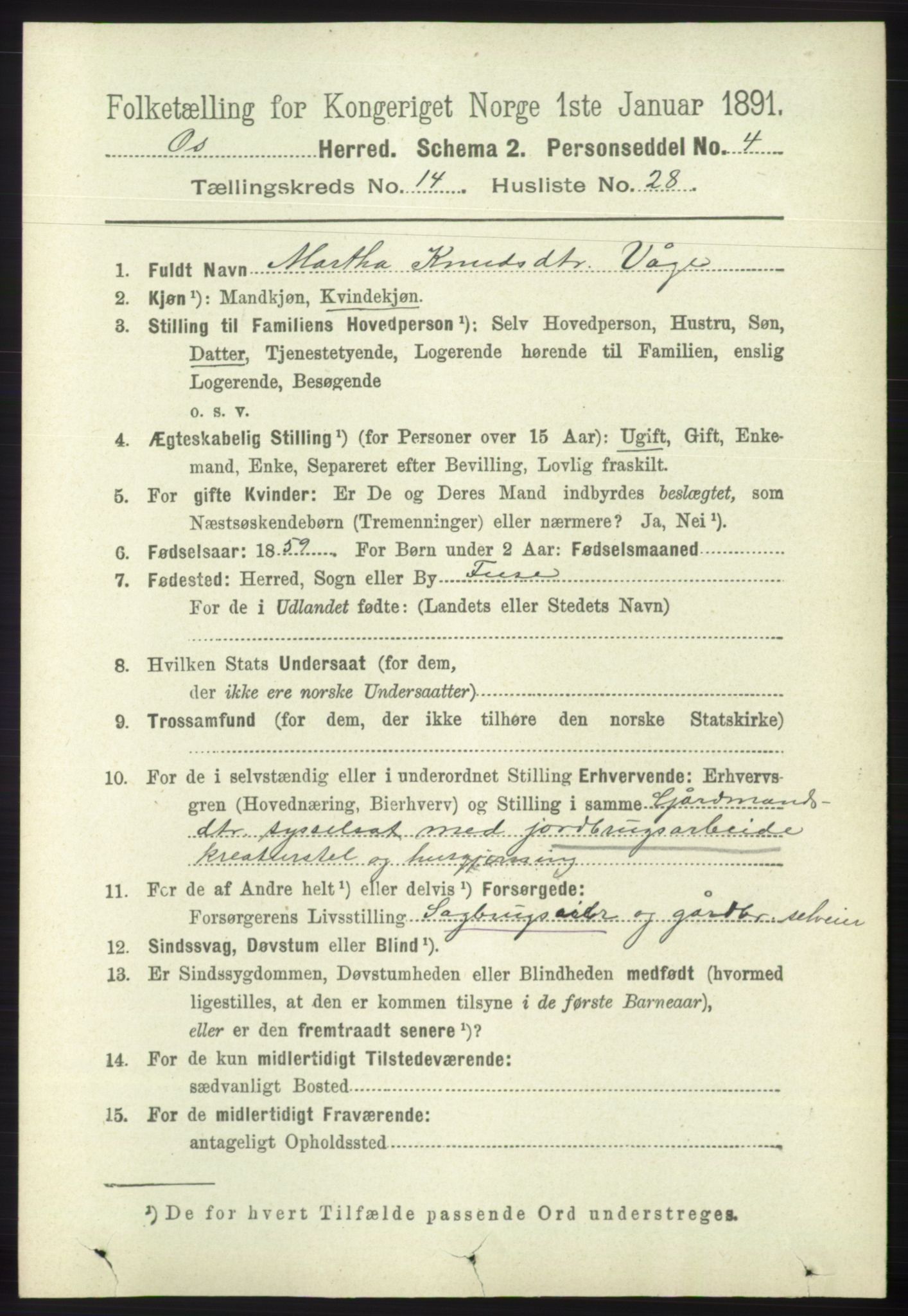 RA, 1891 census for 1243 Os, 1891, p. 3246