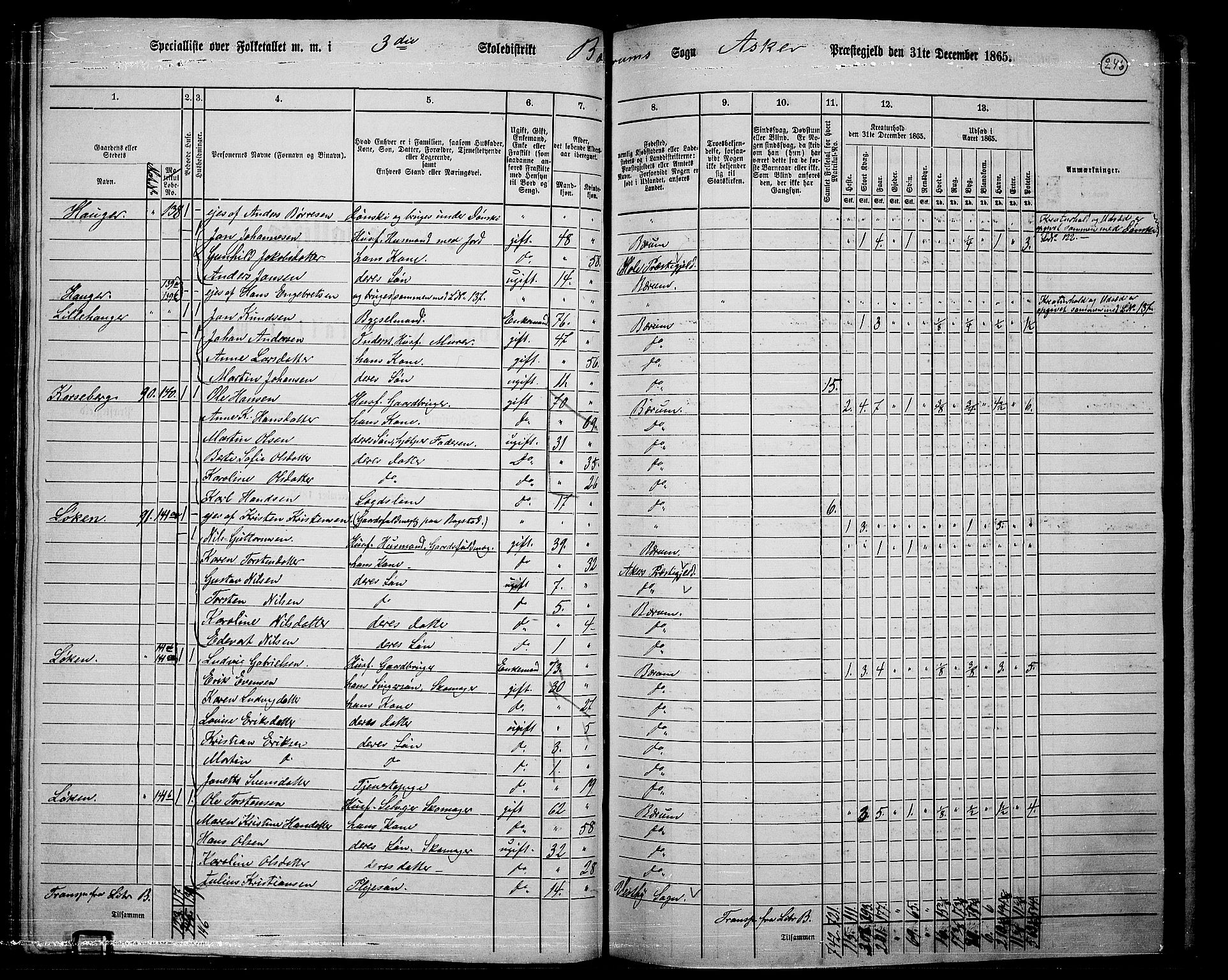 RA, 1865 census for Asker, 1865, p. 238