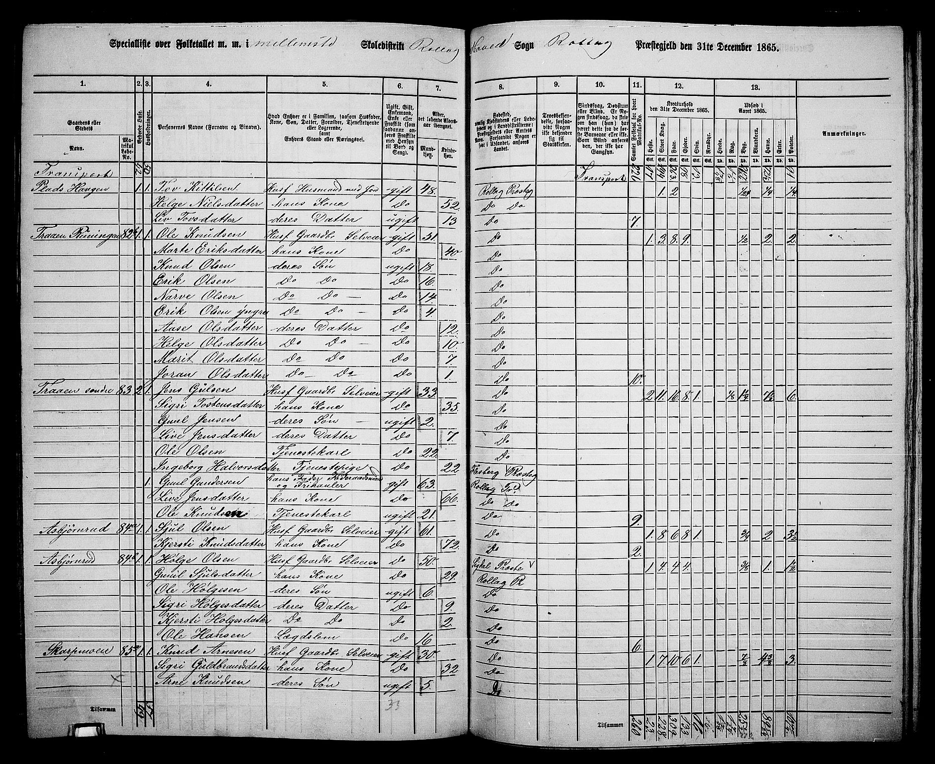 RA, 1865 census for Rollag, 1865, p. 34