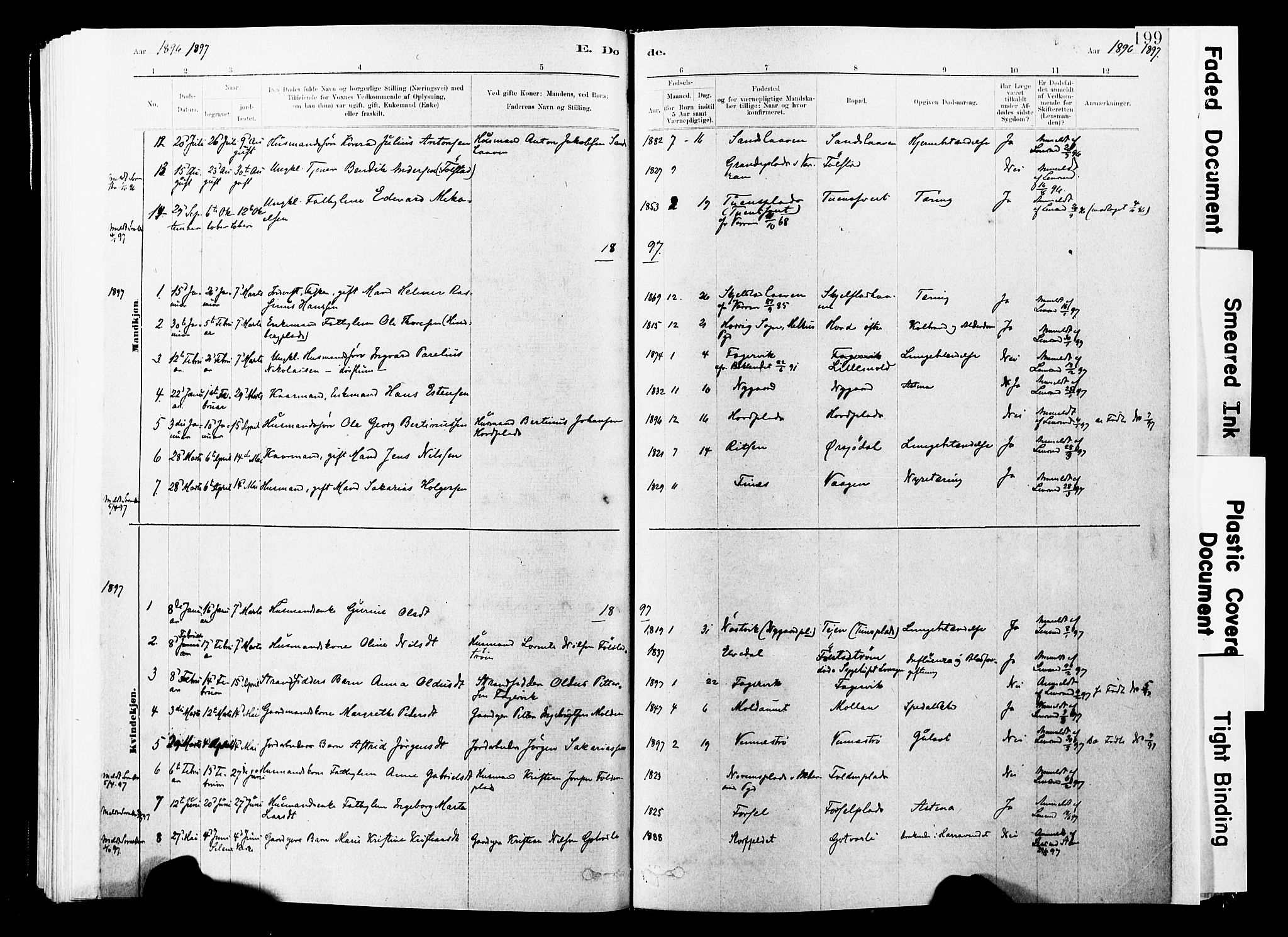 Ministerialprotokoller, klokkerbøker og fødselsregistre - Nord-Trøndelag, SAT/A-1458/744/L0420: Parish register (official) no. 744A04, 1882-1904, p. 199