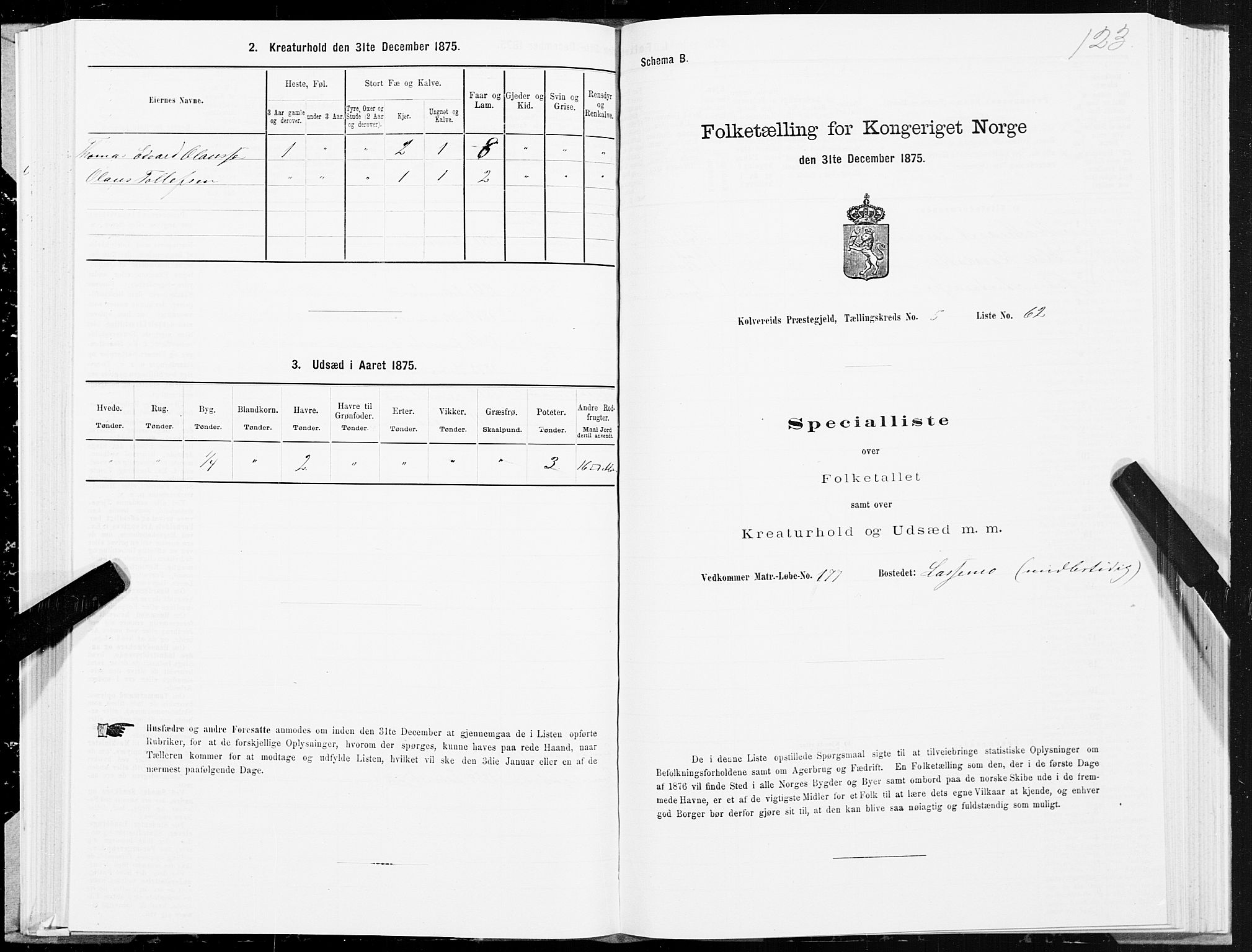 SAT, 1875 census for 1752P Kolvereid, 1875, p. 3123