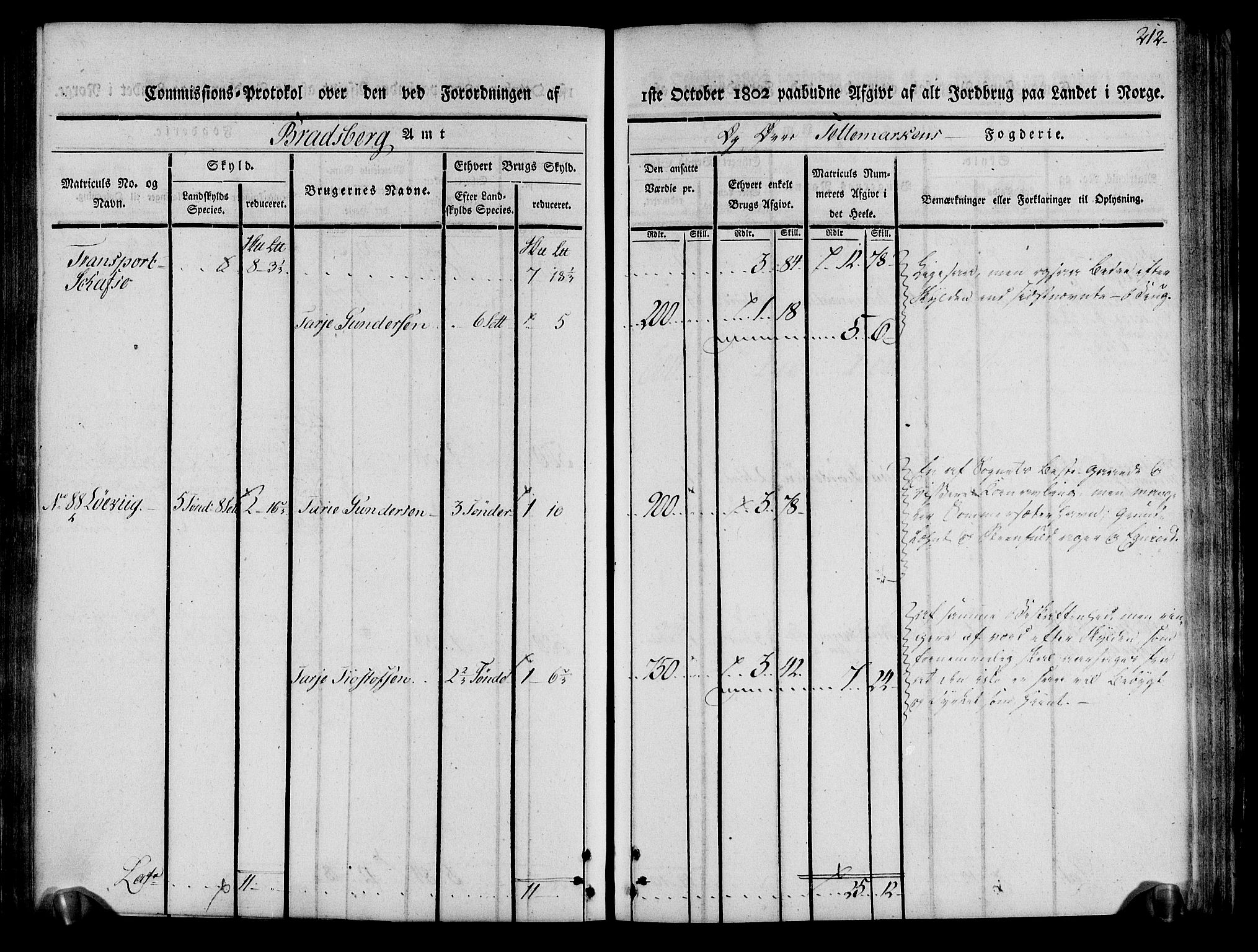 Rentekammeret inntil 1814, Realistisk ordnet avdeling, AV/RA-EA-4070/N/Ne/Nea/L0075: Øvre Telemarken fogderi. Kommisjonsprotokoll for fogderiets vestre del - Kviteseid, Vinje, Moland [):Fyresdal] og Lårdal prestegjeld., 1803, p. 214