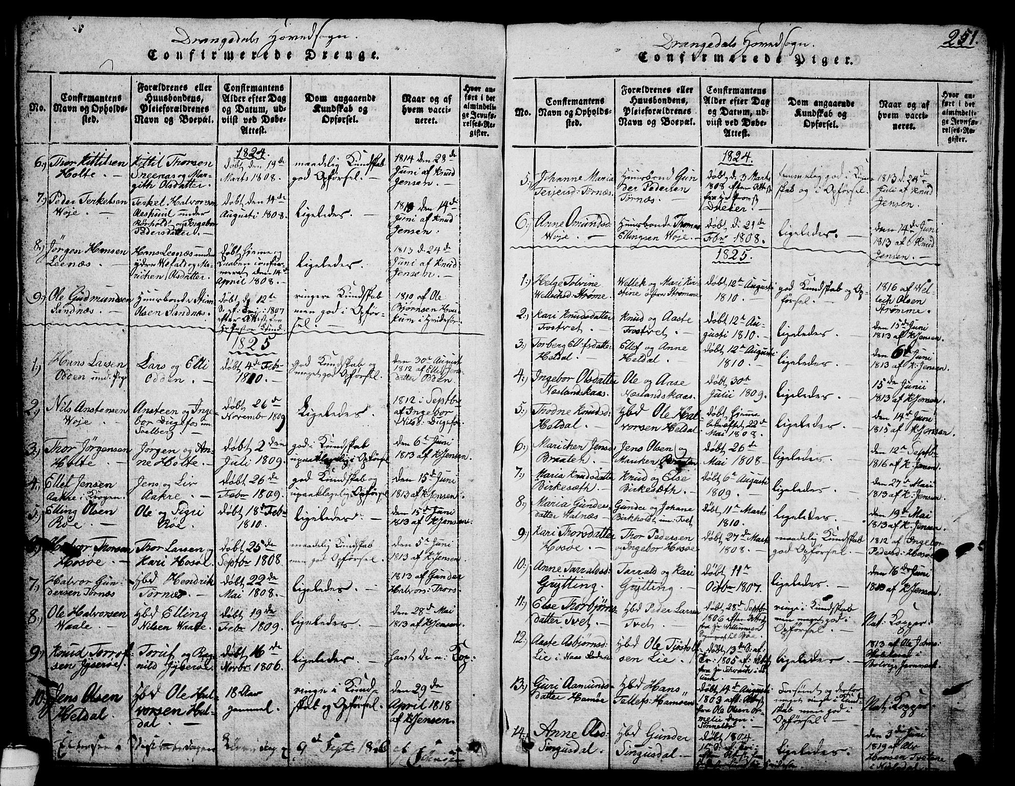 Drangedal kirkebøker, SAKO/A-258/G/Ga/L0001: Parish register (copy) no. I 1 /1, 1814-1856, p. 251