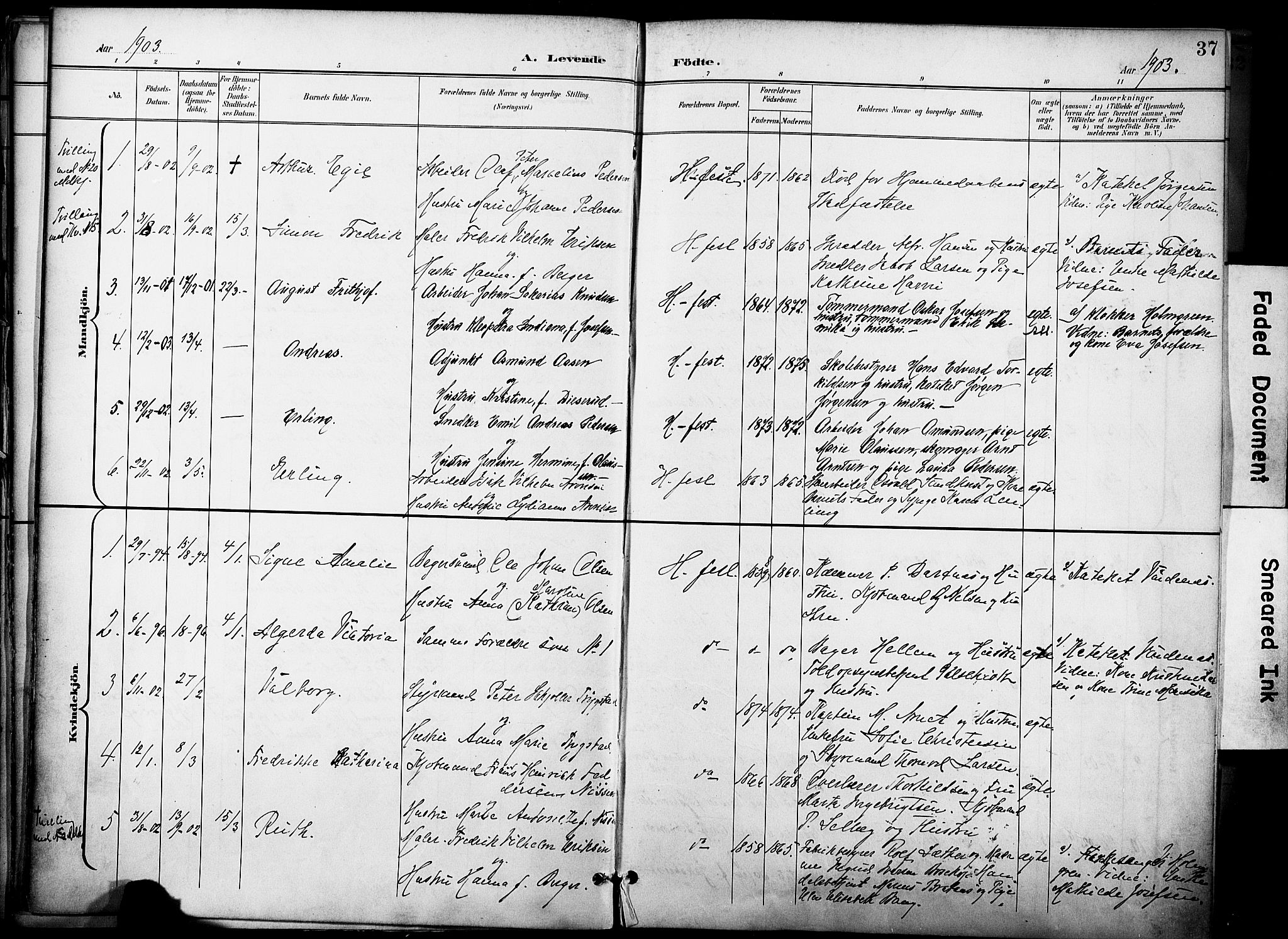 Hammerfest sokneprestkontor, SATØ/S-1347/H/Ha/L0010.kirke: Parish register (official) no. 10, 1898-1905, p. 37