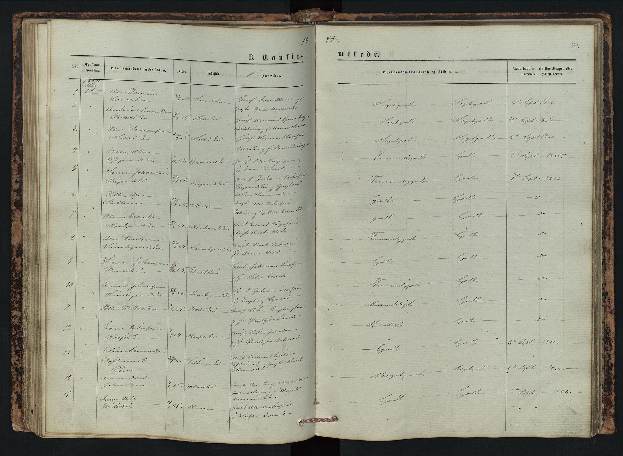 Vestre Gausdal prestekontor, SAH/PREST-094/H/Ha/Hab/L0002: Parish register (copy) no. 2, 1874-1897, p. 99