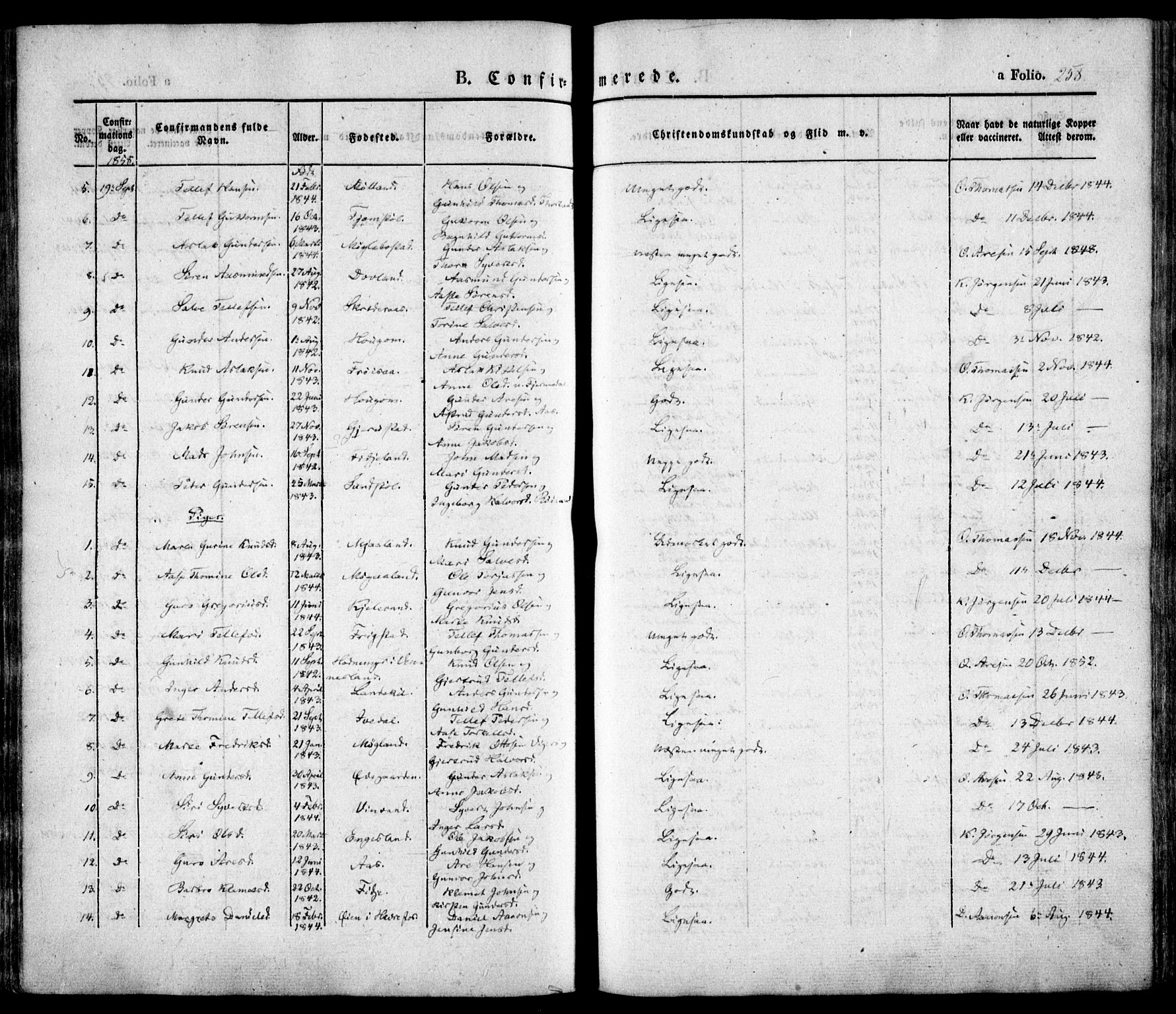 Evje sokneprestkontor, AV/SAK-1111-0008/F/Fa/Faa/L0005: Parish register (official) no. A 5, 1843-1865, p. 258