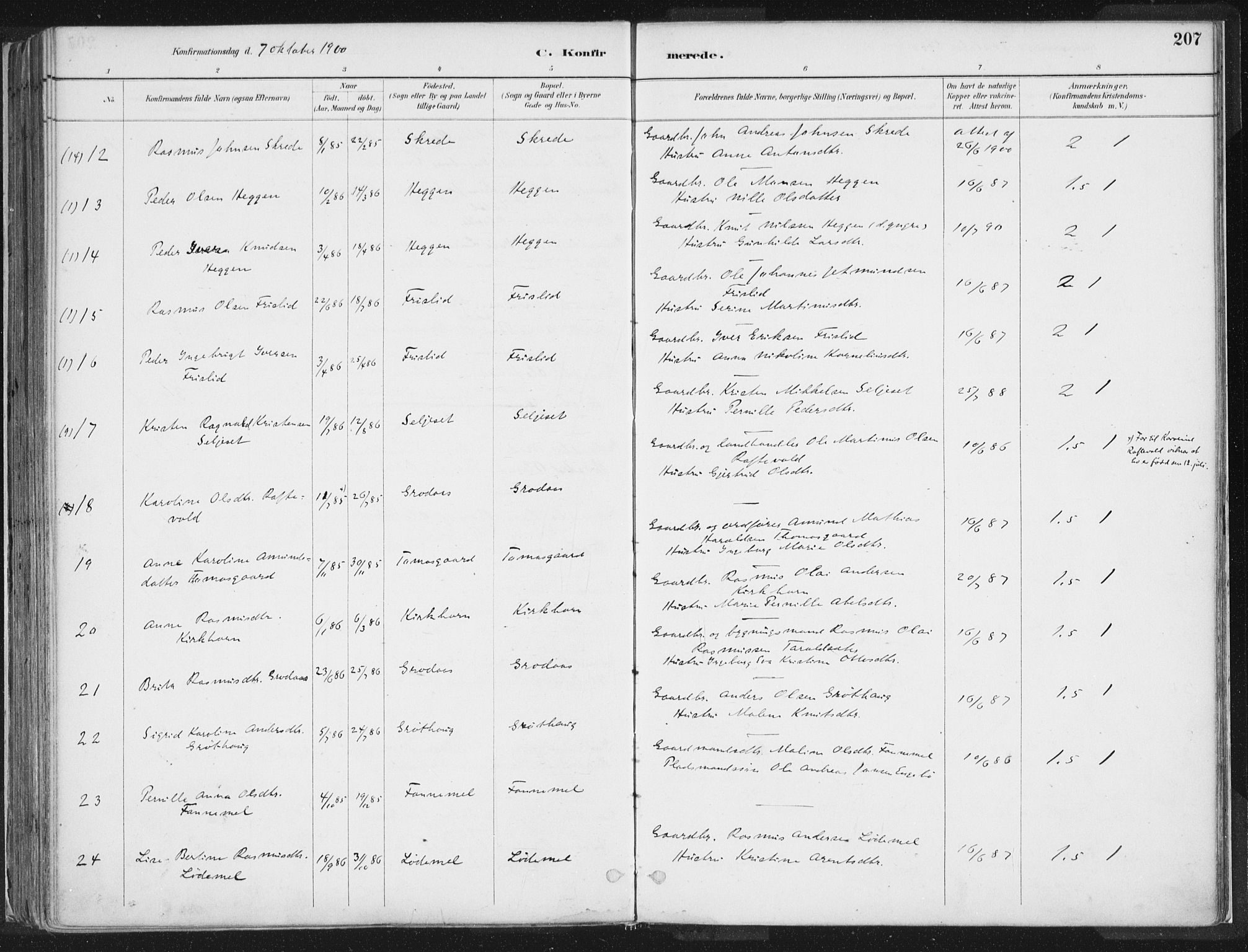 Hornindal sokneprestembete, AV/SAB-A-82401/H/Haa/Haaa/L0003/0001: Parish register (official) no. A 3A, 1887-1917, p. 207