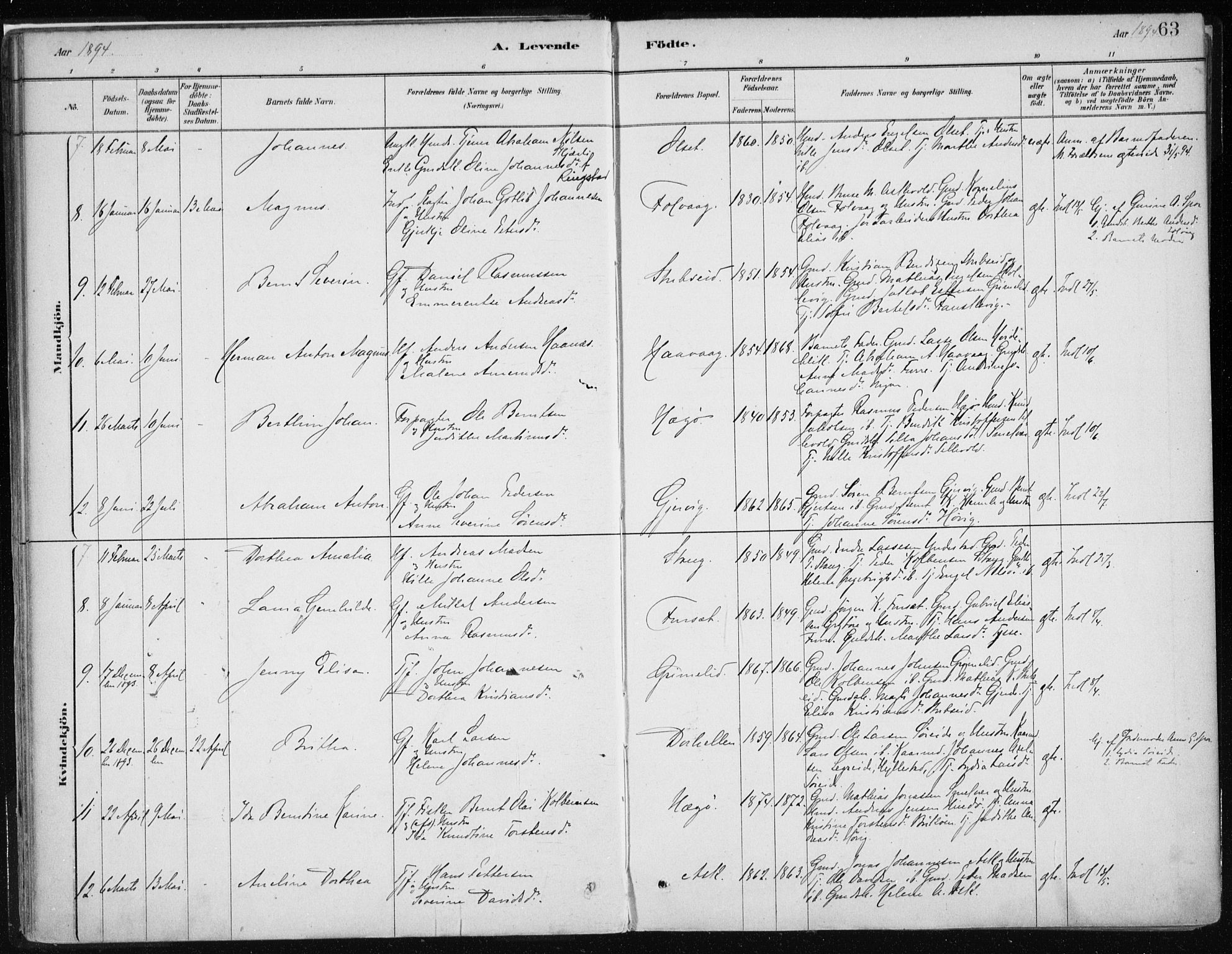 Askvoll sokneprestembete, AV/SAB-A-79501/H/Haa/Haab/L0002: Parish register (official) no. B 2, 1879-1909, p. 63