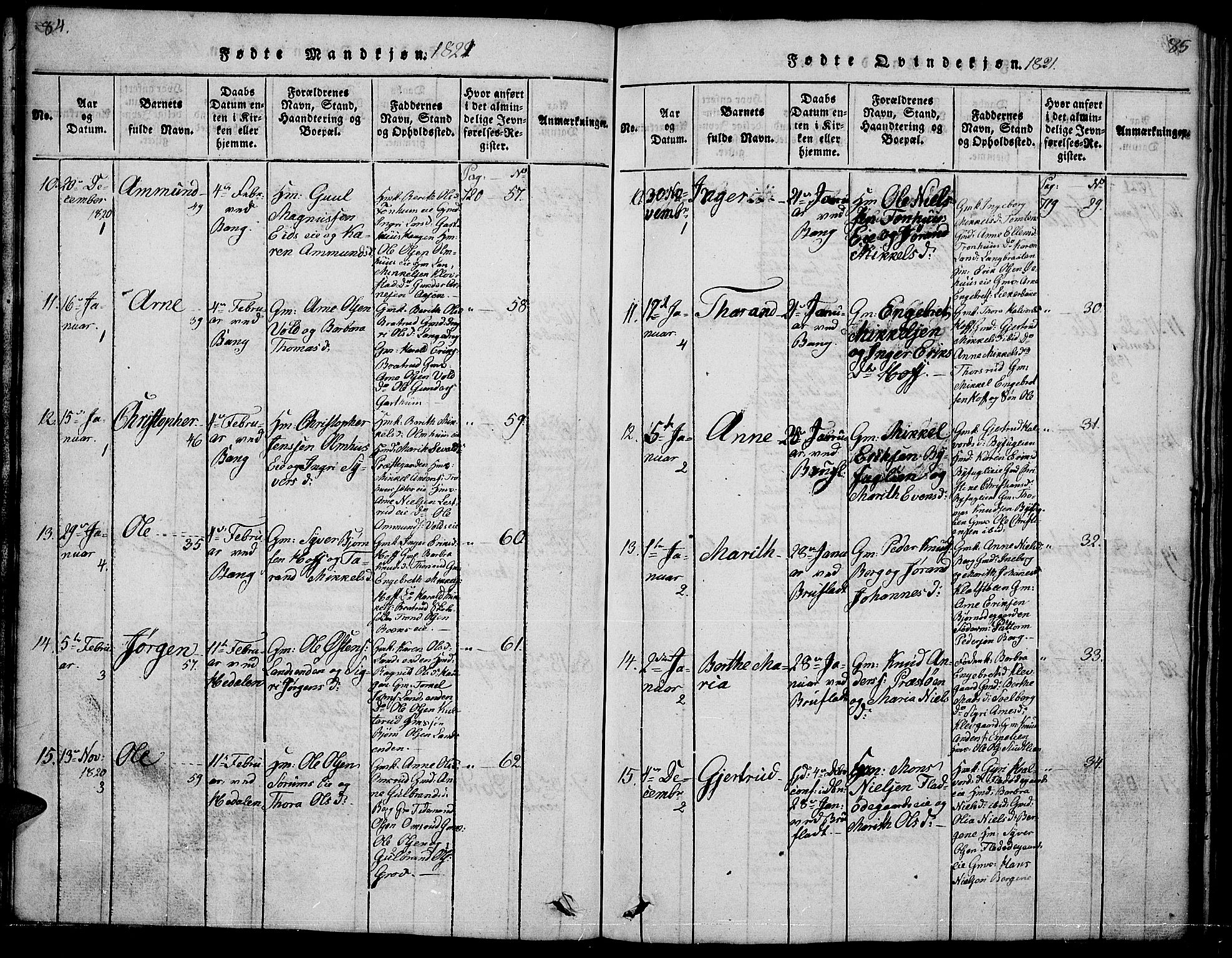 Sør-Aurdal prestekontor, AV/SAH-PREST-128/H/Ha/Hab/L0001: Parish register (copy) no. 1, 1815-1826, p. 84-85