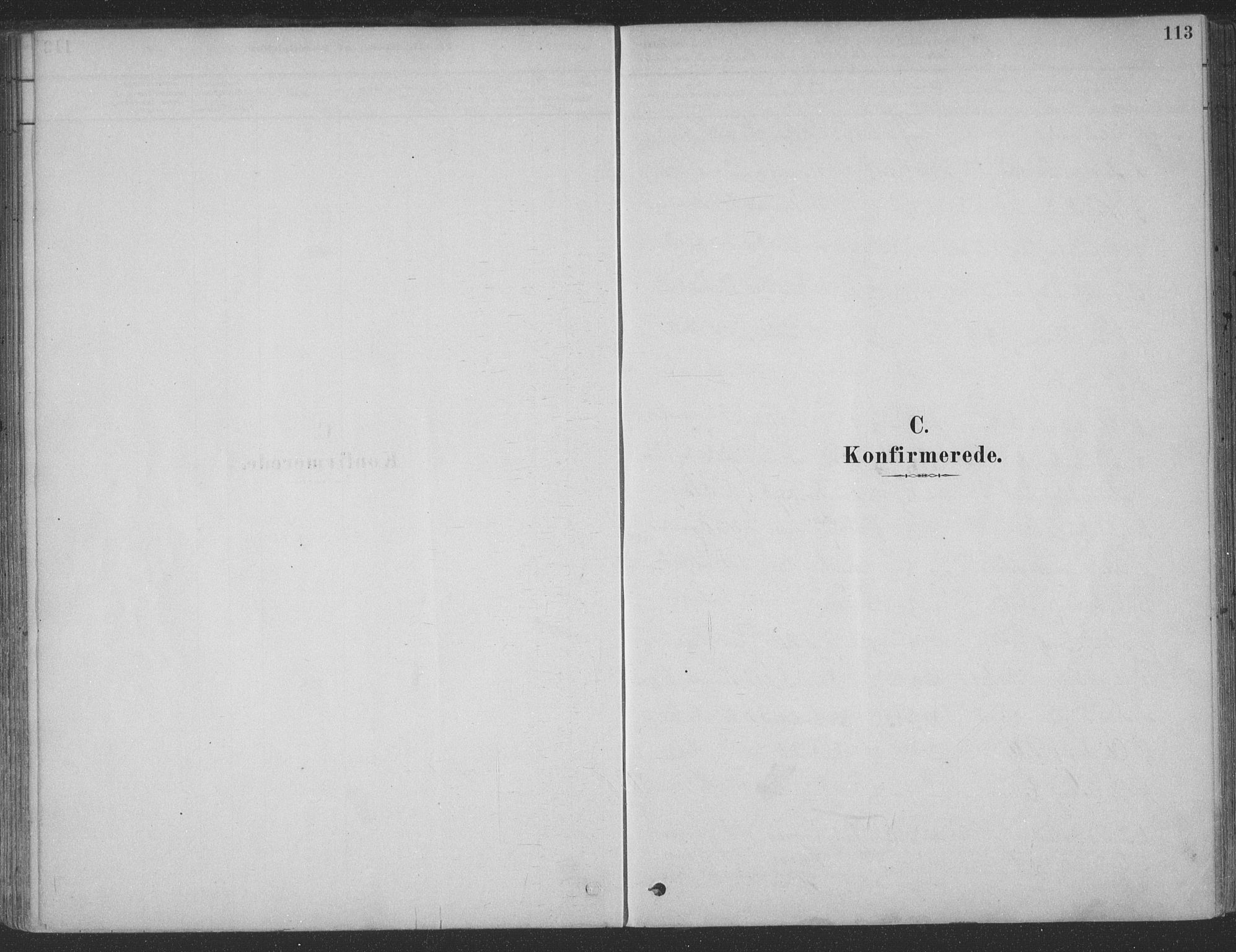 Ministerialprotokoller, klokkerbøker og fødselsregistre - Møre og Romsdal, SAT/A-1454/547/L0604: Parish register (official) no. 547A06, 1878-1906, p. 113