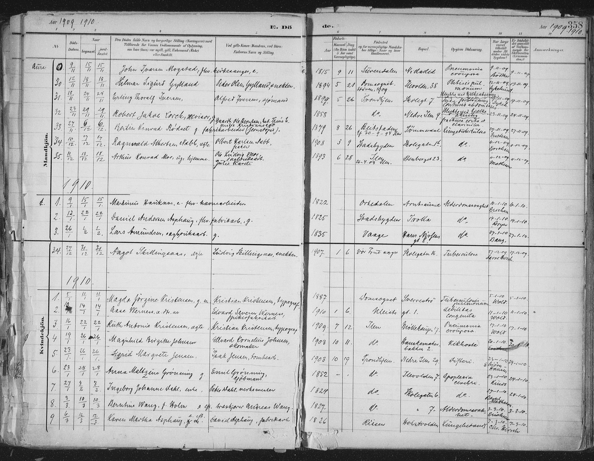 Ministerialprotokoller, klokkerbøker og fødselsregistre - Sør-Trøndelag, SAT/A-1456/603/L0167: Parish register (official) no. 603A06, 1896-1932, p. 358