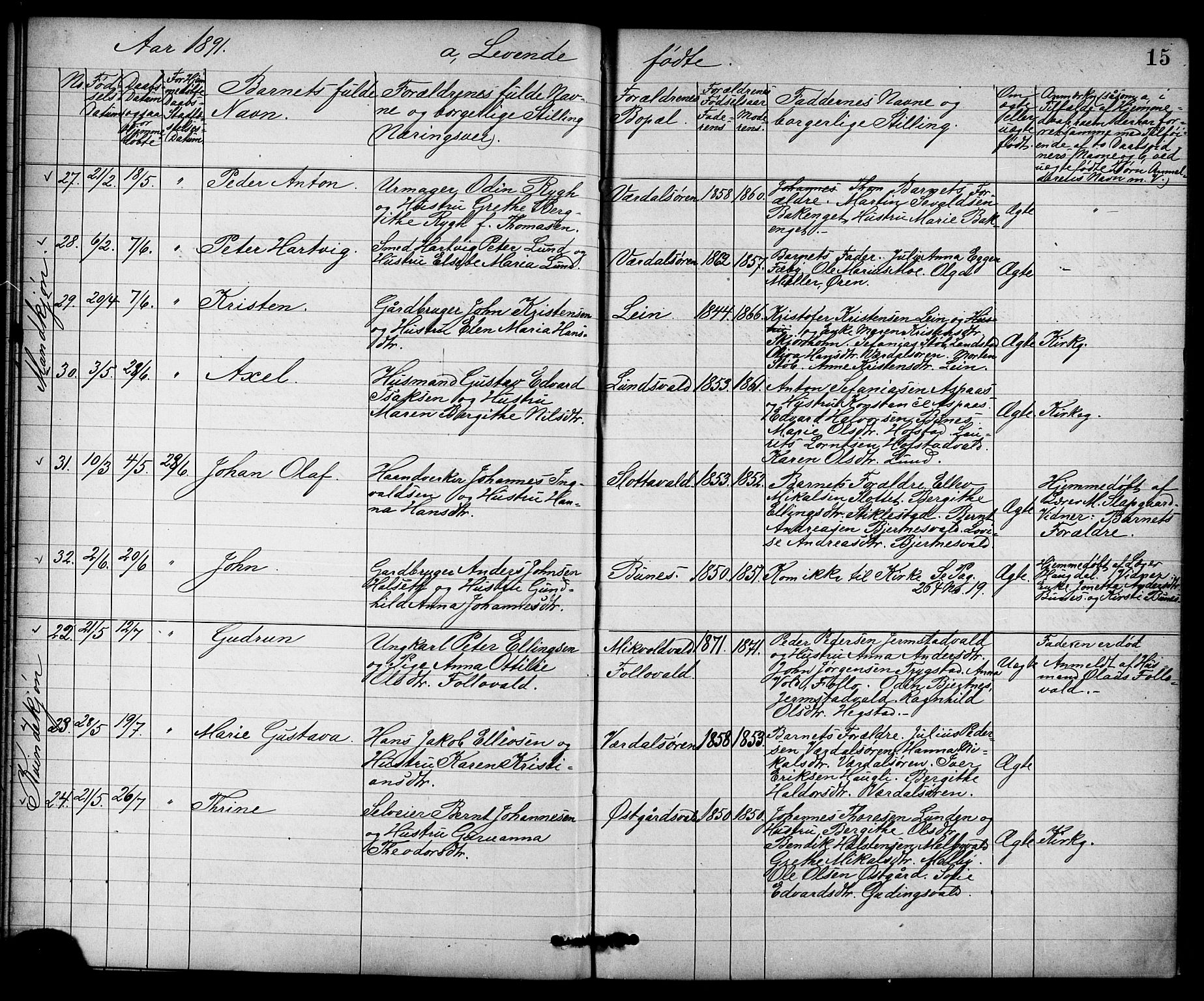 Ministerialprotokoller, klokkerbøker og fødselsregistre - Nord-Trøndelag, AV/SAT-A-1458/723/L0257: Parish register (copy) no. 723C05, 1890-1907, p. 15