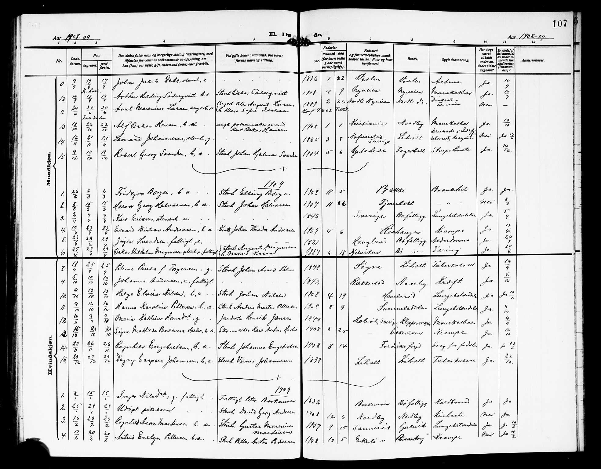 Idd prestekontor Kirkebøker, SAO/A-10911/G/Gb/L0002: Parish register (copy) no. II 2, 1907-1913, p. 107