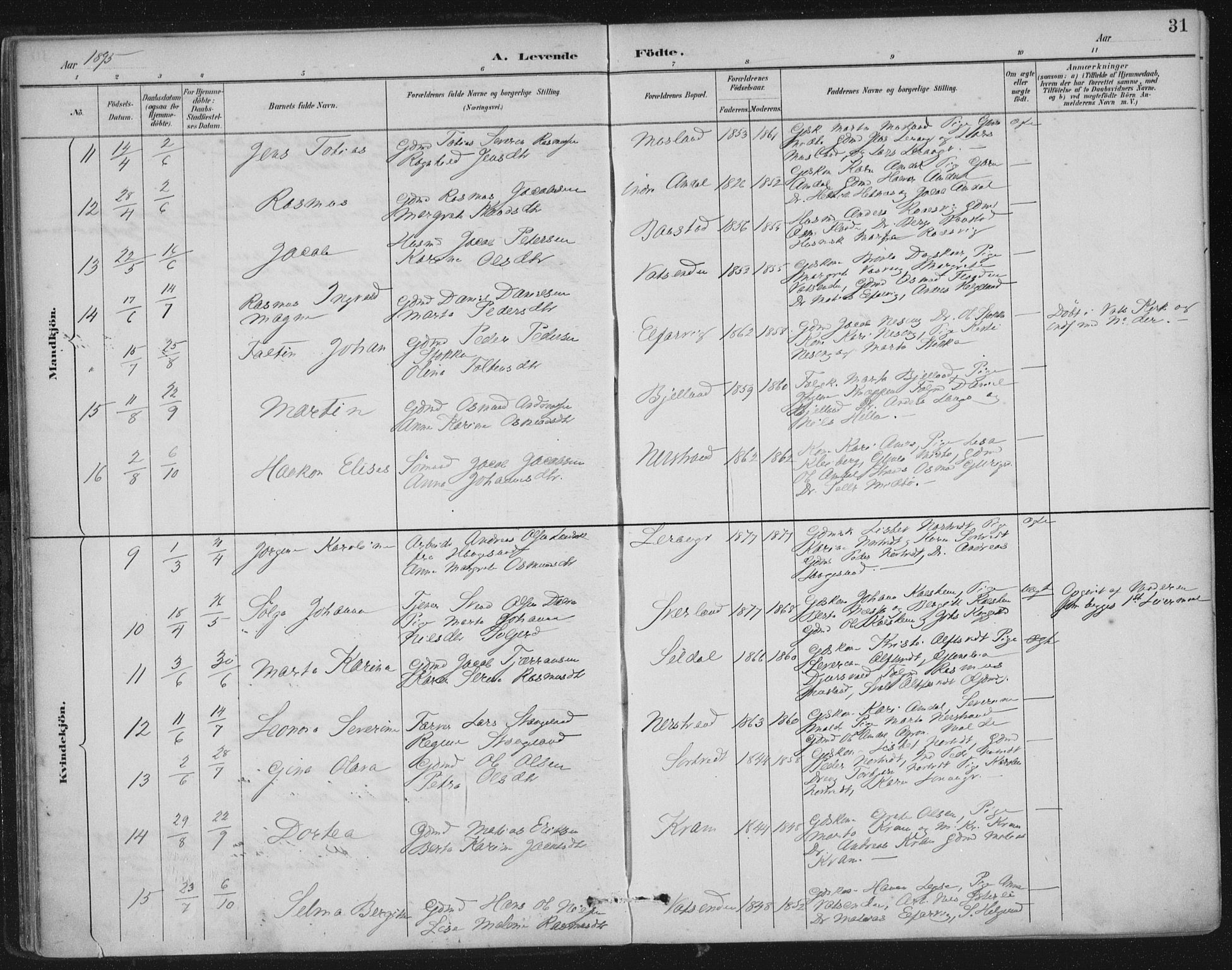 Nedstrand sokneprestkontor, AV/SAST-A-101841/01/IV: Parish register (official) no. A 12, 1887-1915, p. 31