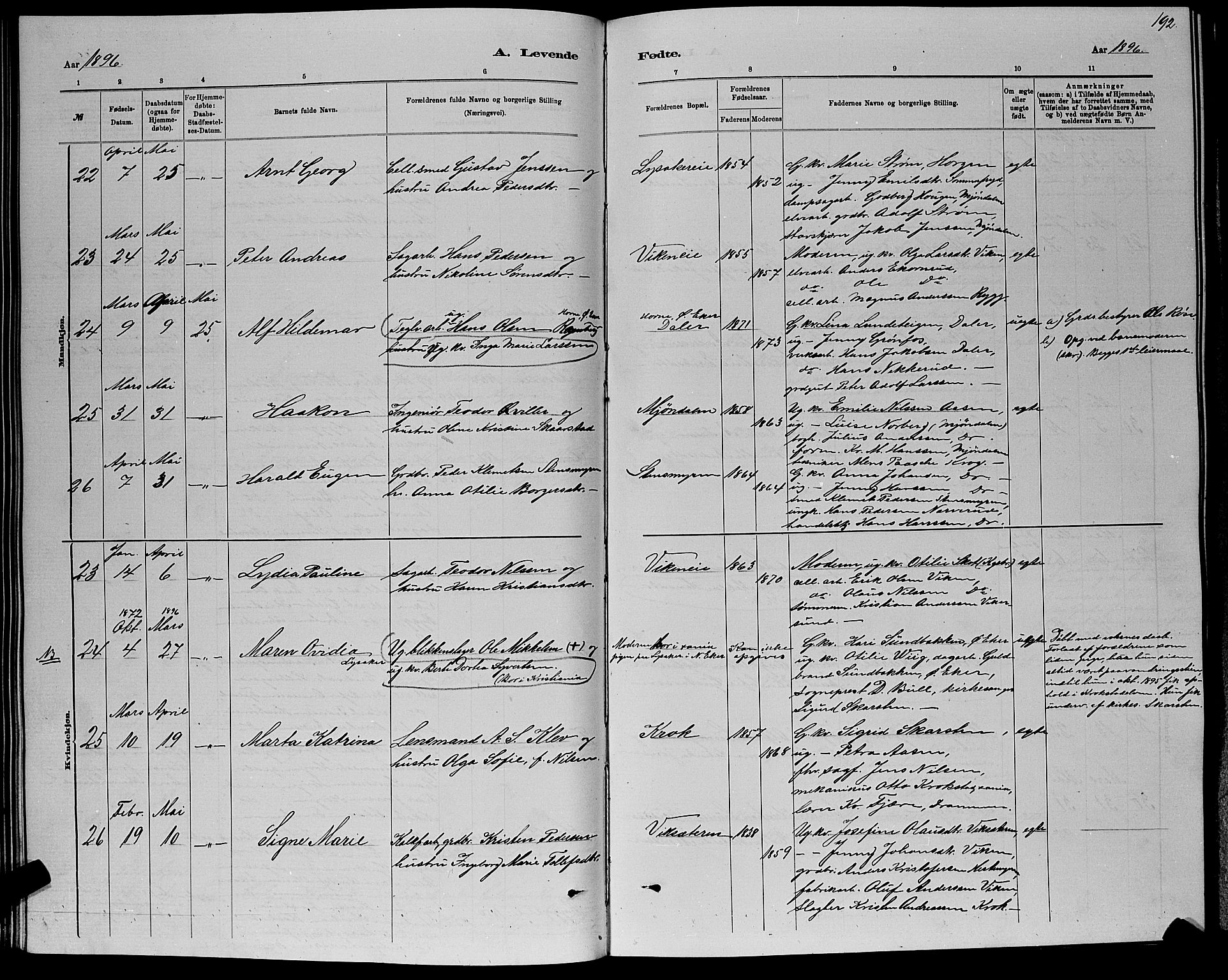 Nedre Eiker kirkebøker, AV/SAKO-A-612/G/Ga/L0002: Parish register (copy) no. 2, 1880-1896, p. 192