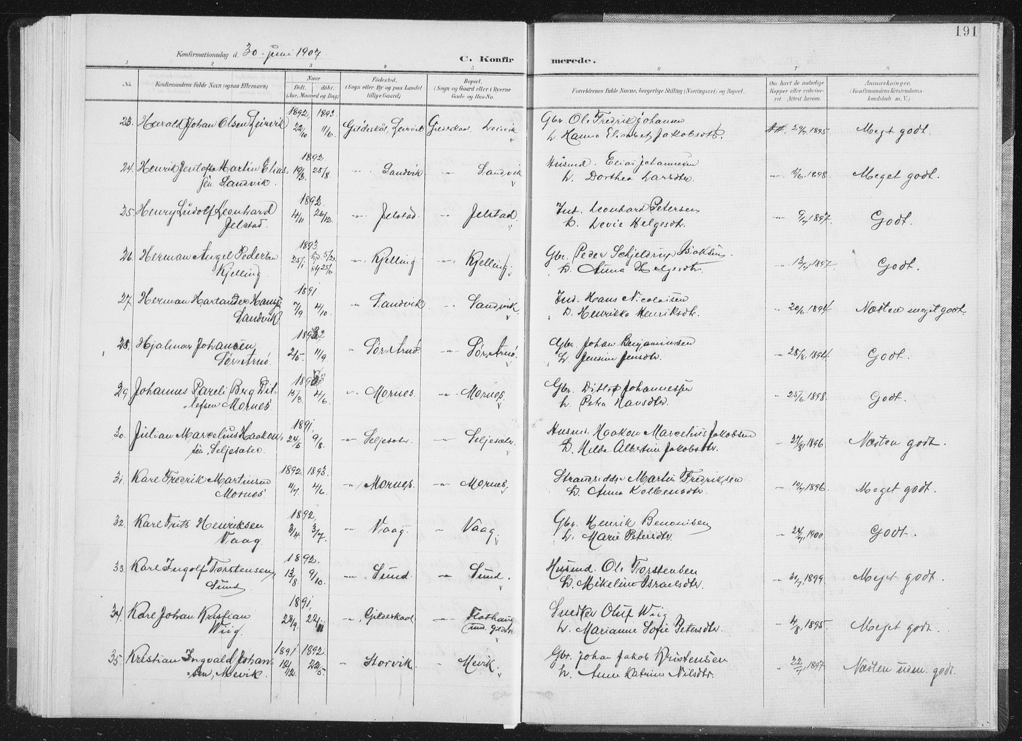 Ministerialprotokoller, klokkerbøker og fødselsregistre - Nordland, AV/SAT-A-1459/805/L0102: Parish register (official) no. 805A08I, 1900-1909, p. 191