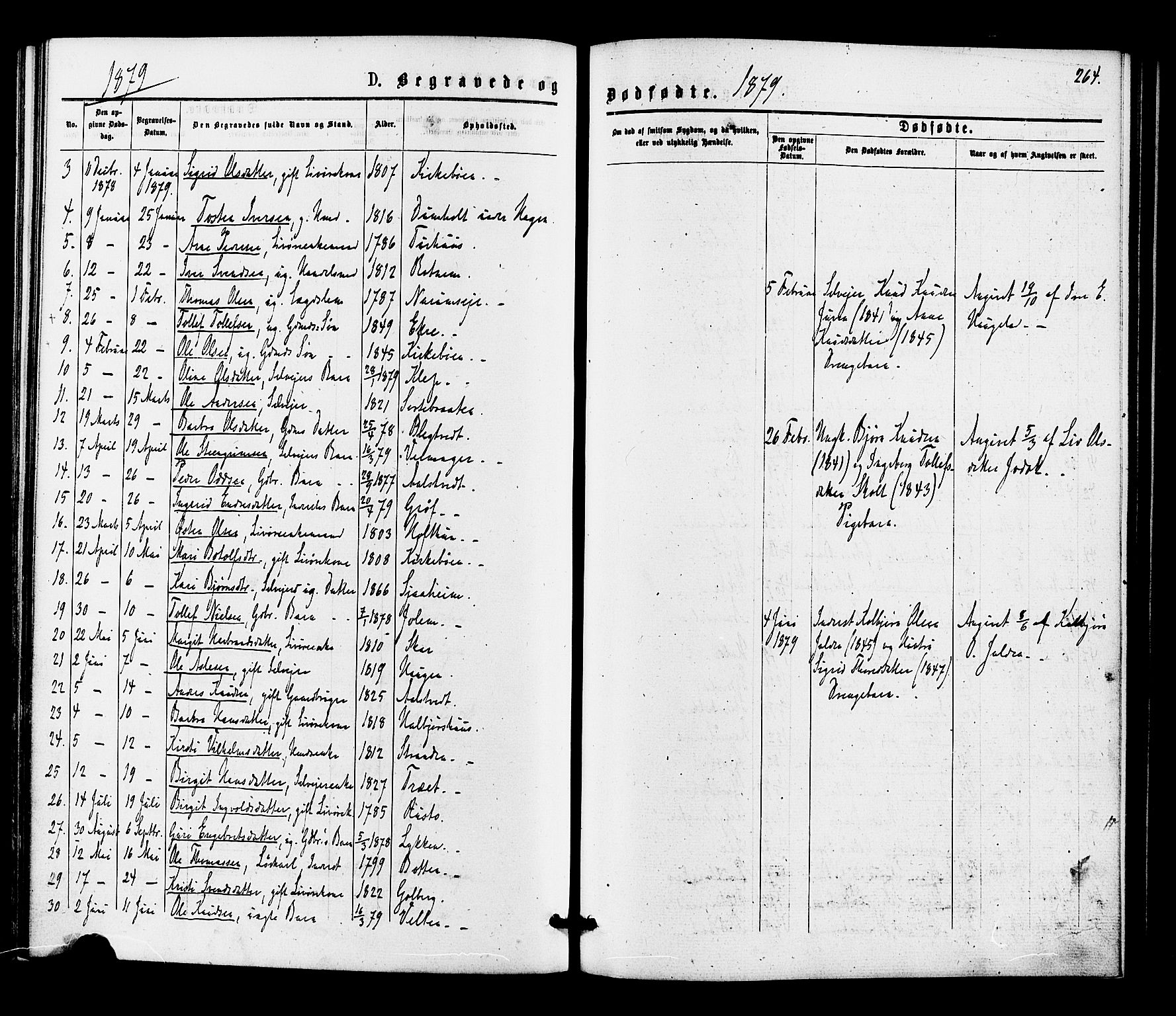 Gol kirkebøker, SAKO/A-226/F/Fa/L0004: Parish register (official) no. I 4, 1876-1886, p. 264