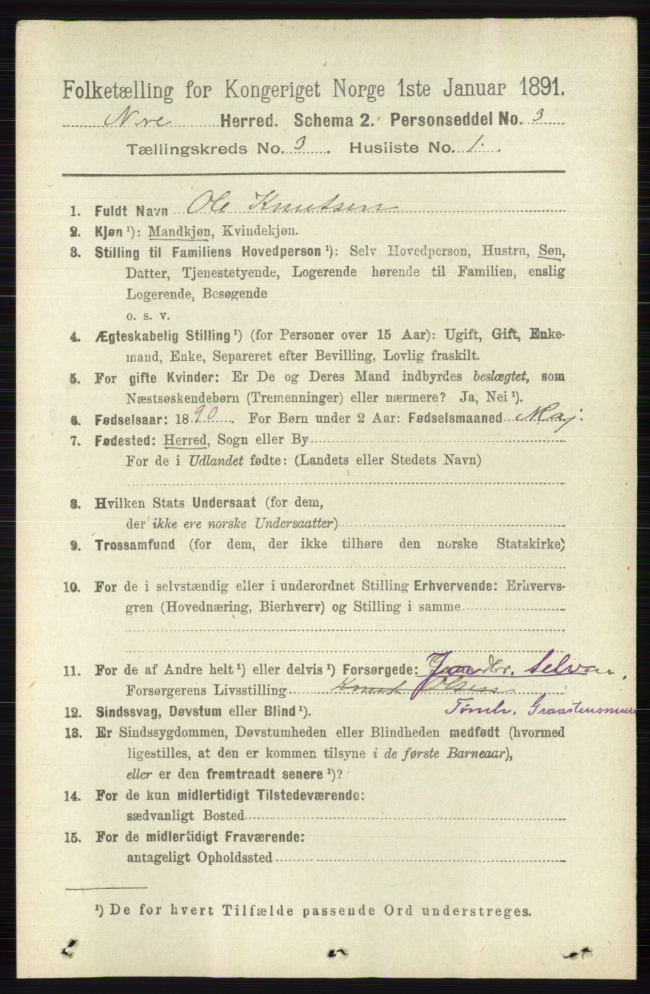 RA, 1891 census for 0633 Nore, 1891, p. 744