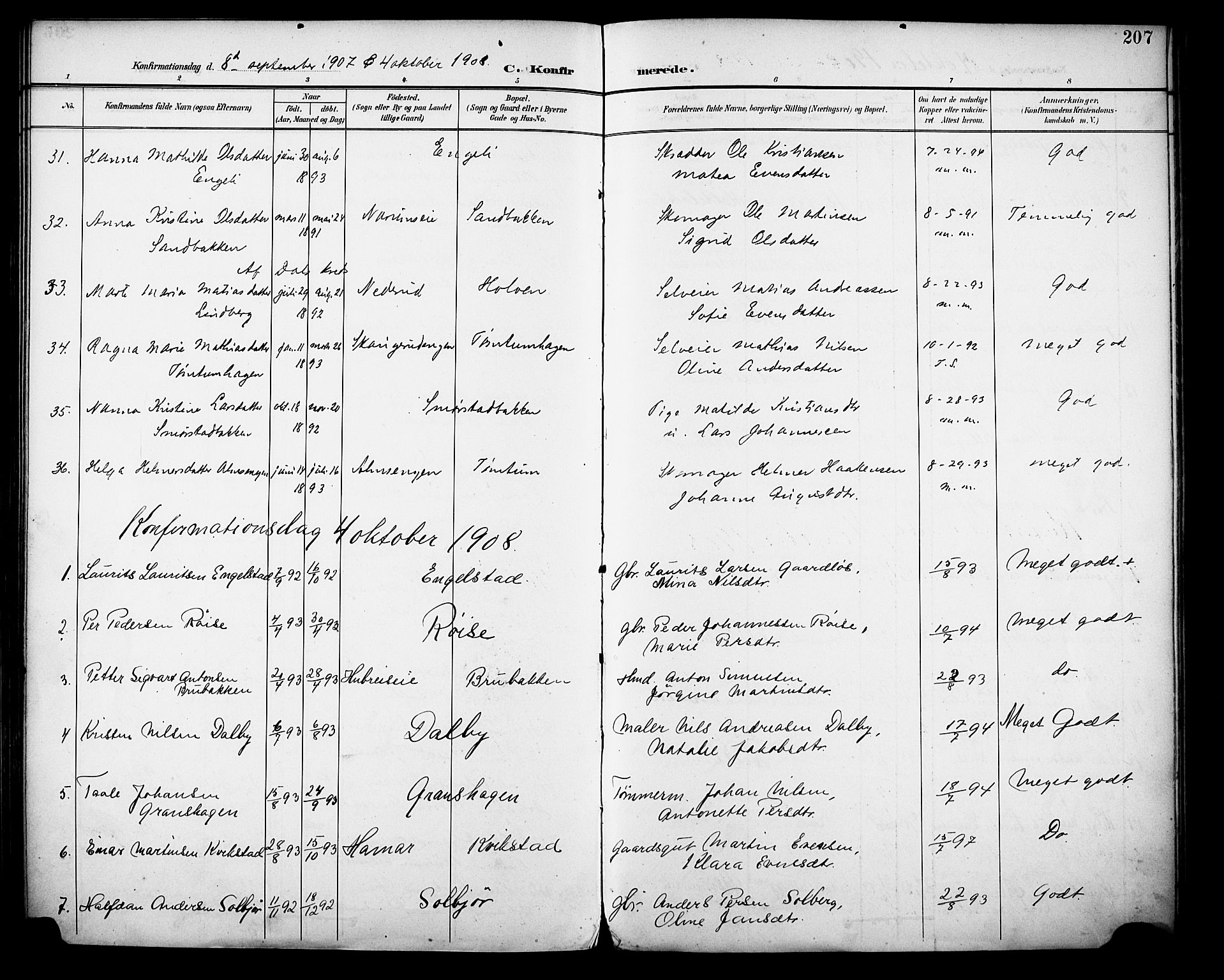 Vestre Toten prestekontor, AV/SAH-PREST-108/H/Ha/Haa/L0013: Parish register (official) no. 13, 1895-1911, p. 207