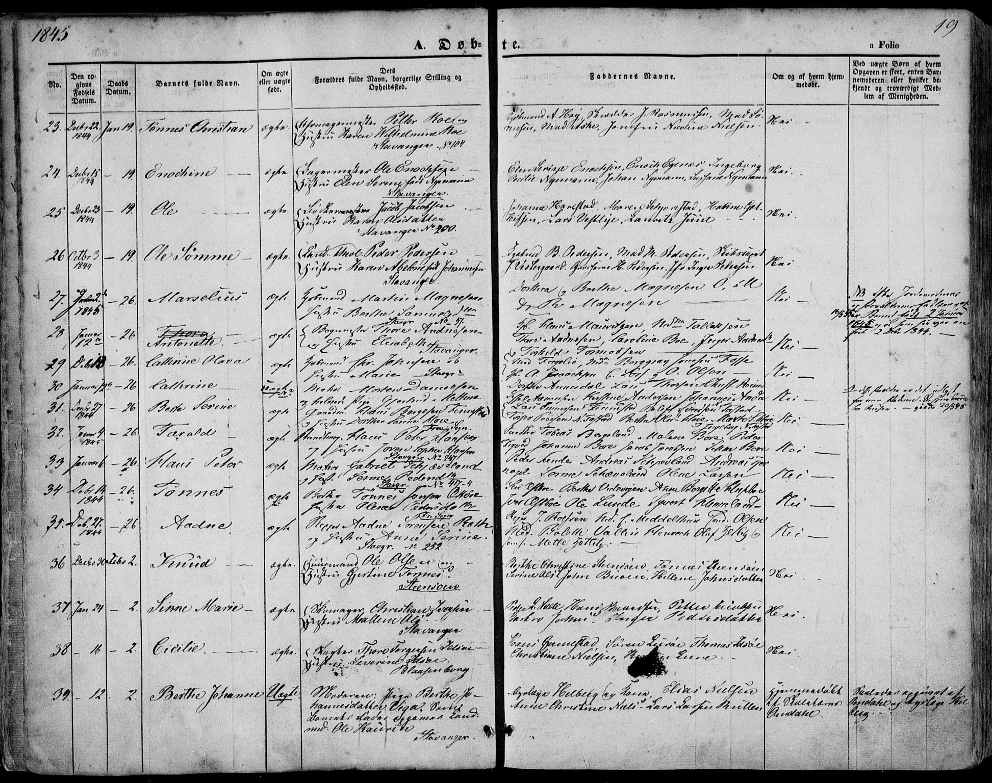 Domkirken sokneprestkontor, AV/SAST-A-101812/001/30/30BA/L0016: Parish register (official) no. A 15, 1844-1854, p. 19