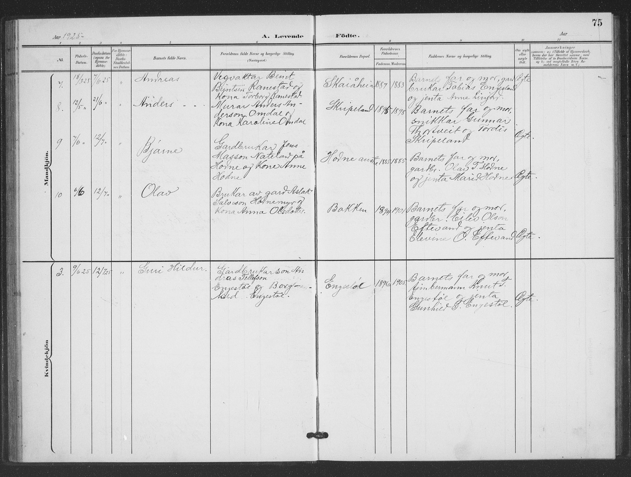 Evje sokneprestkontor, AV/SAK-1111-0008/F/Fb/Fbc/L0005: Parish register (copy) no. B 5, 1901-1935, p. 75