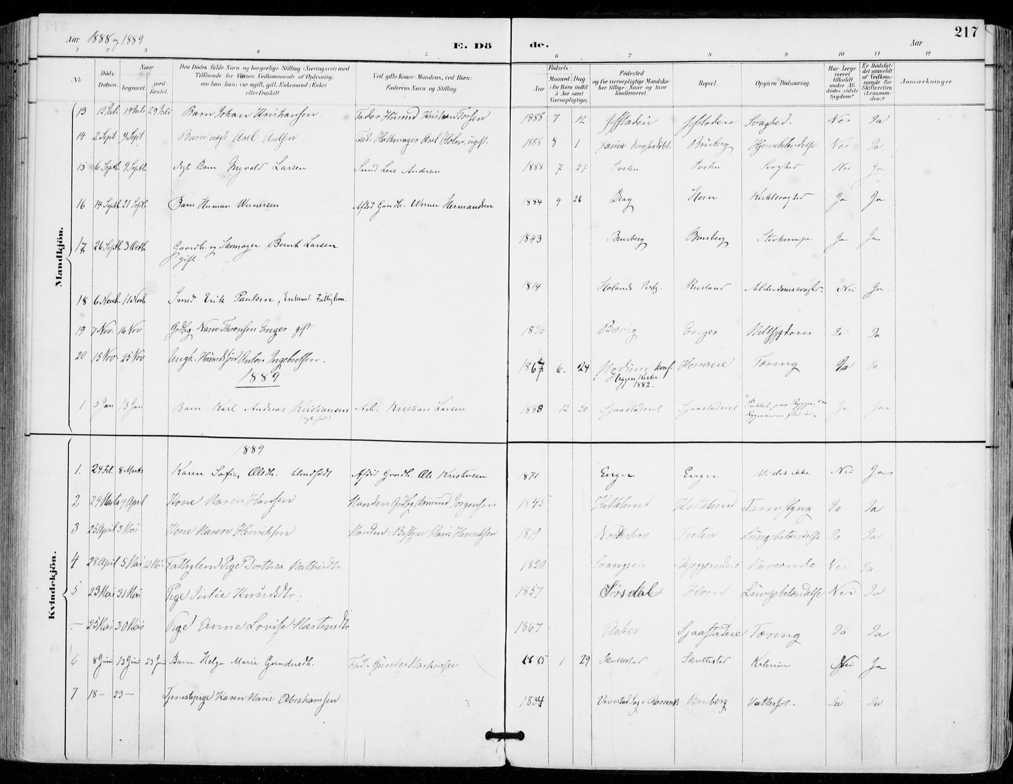 Sylling kirkebøker, AV/SAKO-A-247/F/Fa/L0001: Parish register (official) no. 1, 1883-1910, p. 217