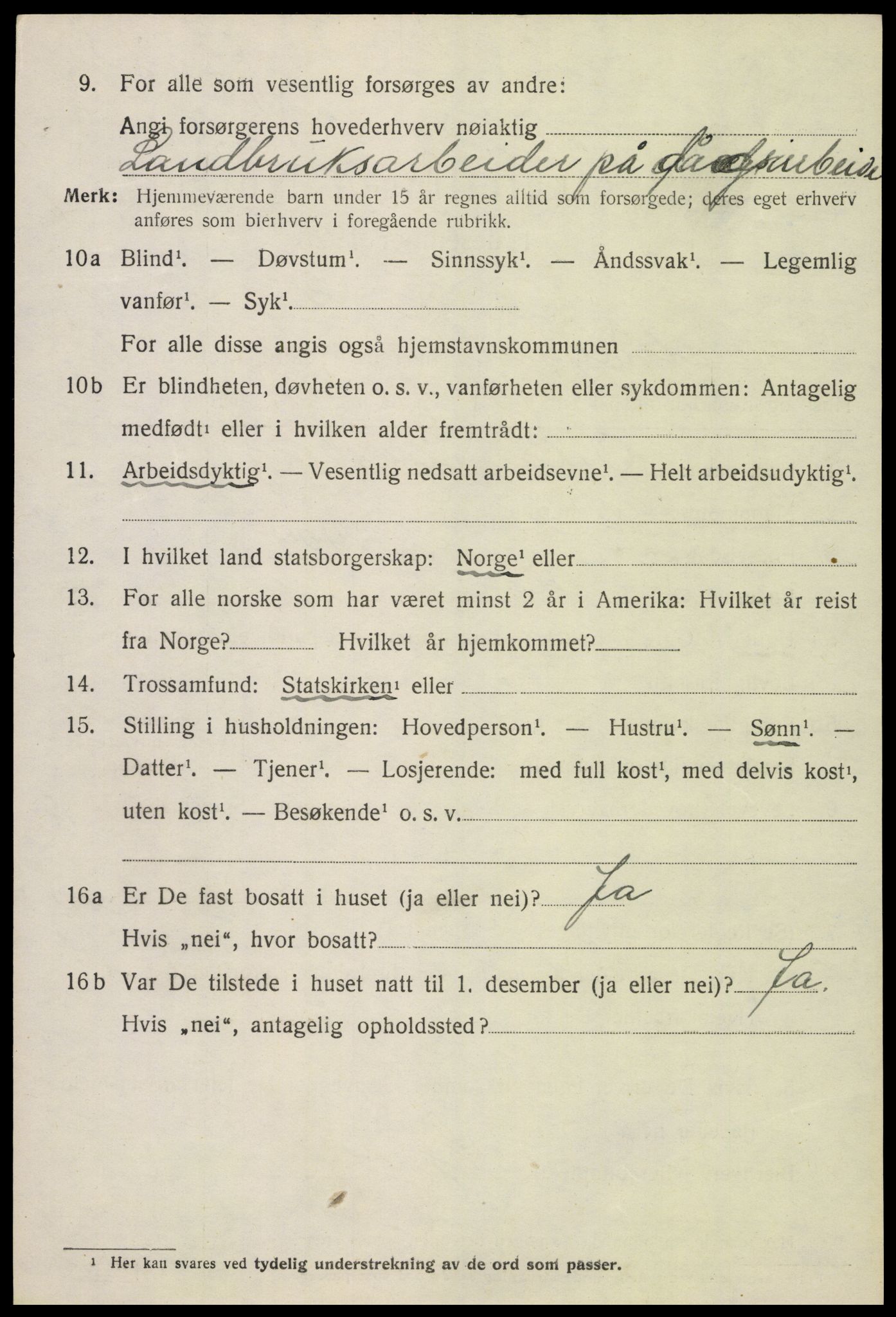 SAH, 1920 census for Snertingdal, 1920, p. 960