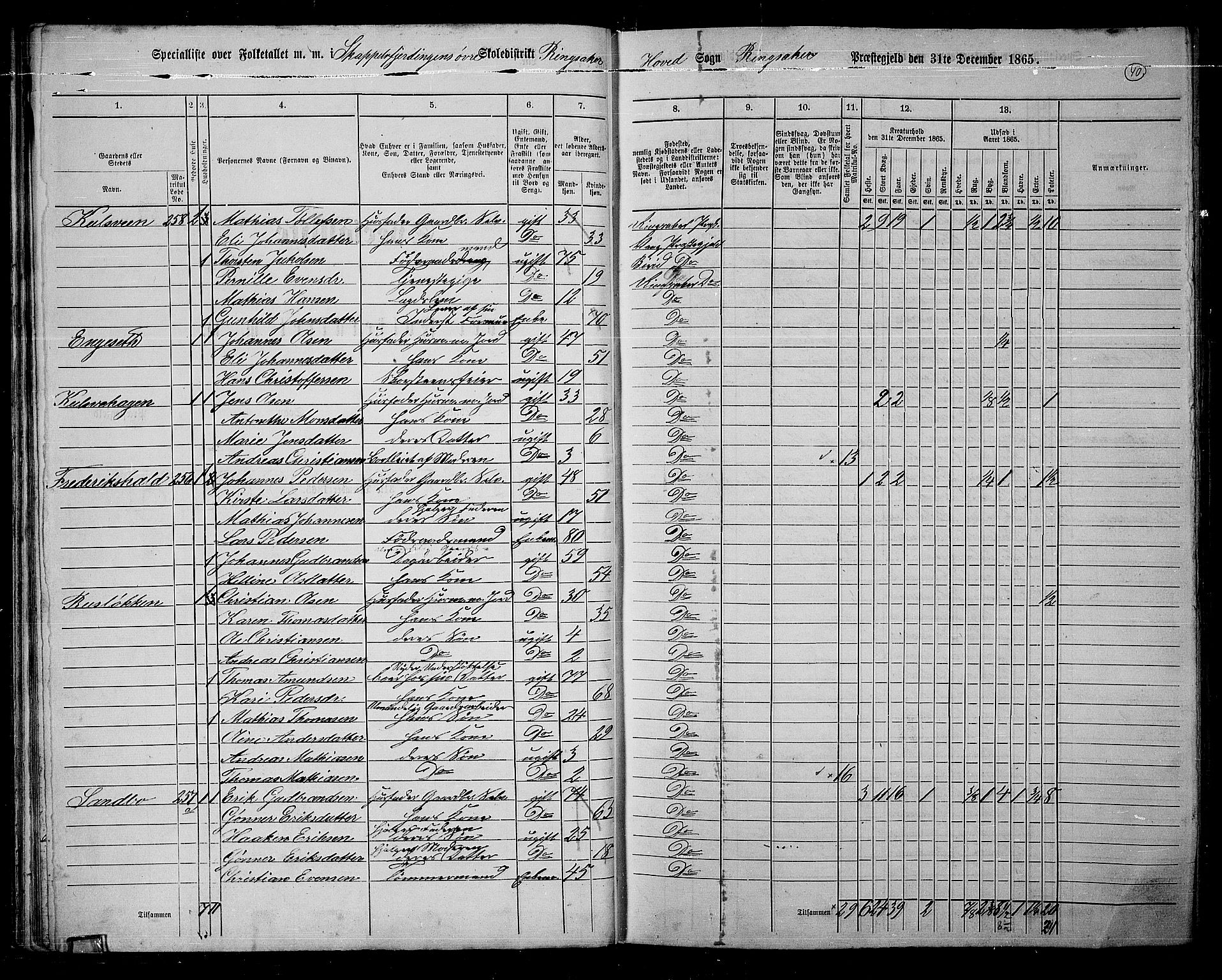 RA, 1865 census for Ringsaker, 1865, p. 297