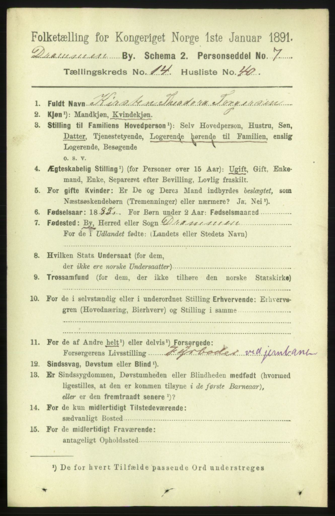 RA, 1891 census for 0602 Drammen, 1891, p. 10490