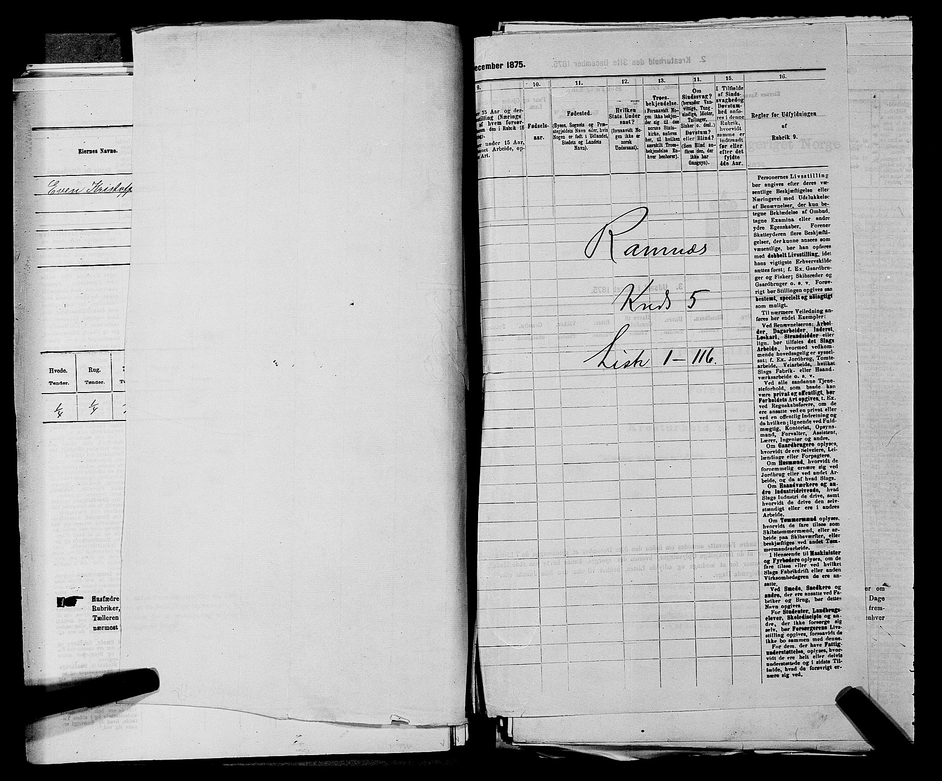 SAKO, 1875 census for 0718P Ramnes, 1875, p. 729