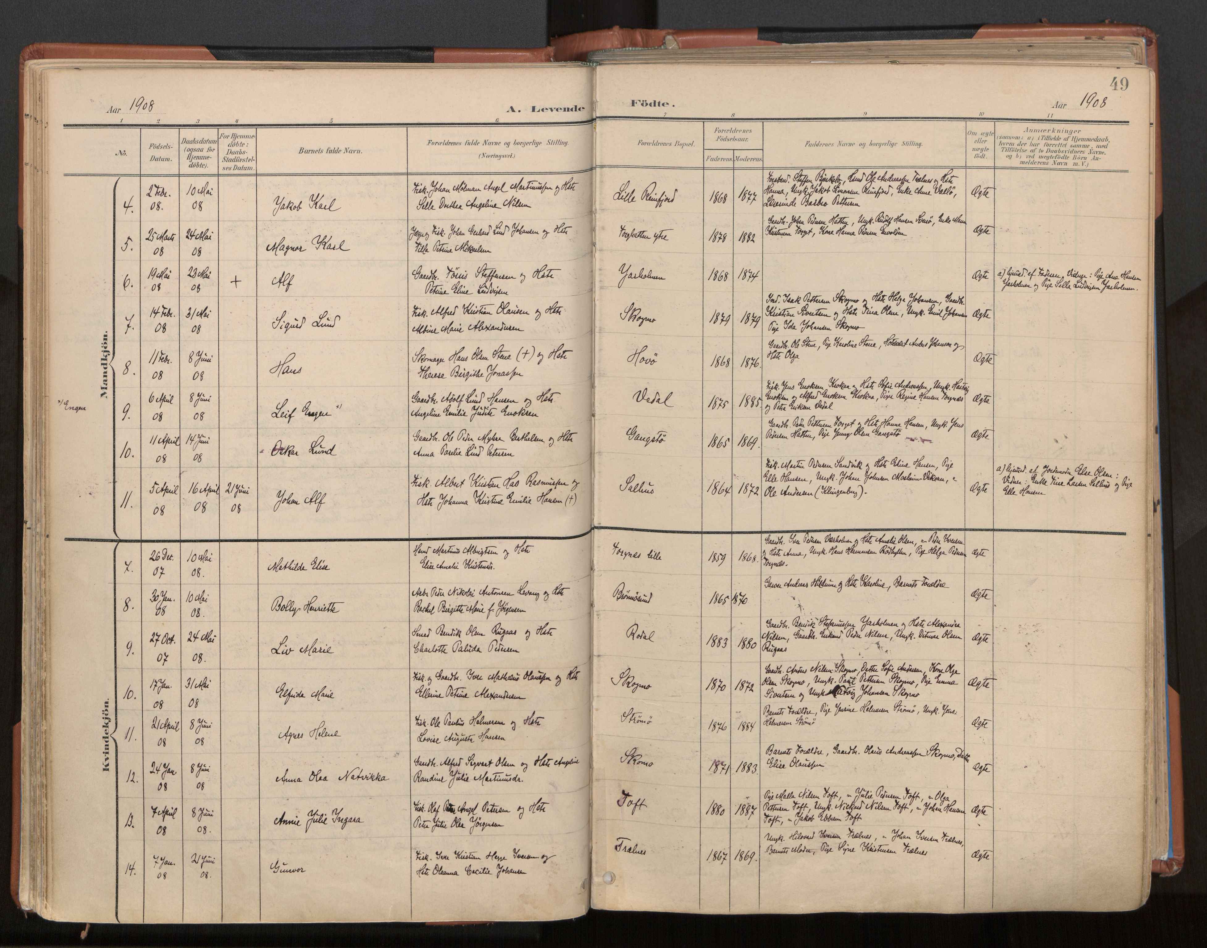 Ministerialprotokoller, klokkerbøker og fødselsregistre - Nordland, SAT/A-1459/813/L0201: Parish register (official) no. 813A11, 1901-1918, p. 49