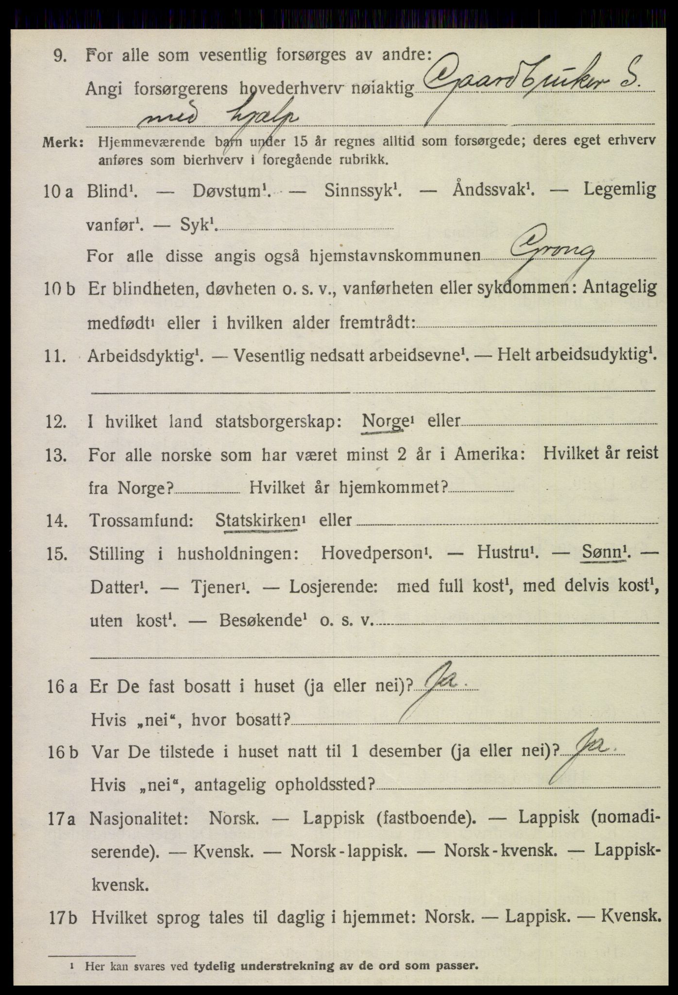 SAT, 1920 census for Grong, 1920, p. 1252