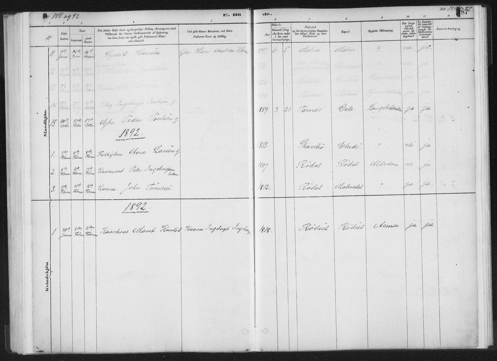 Ministerialprotokoller, klokkerbøker og fødselsregistre - Møre og Romsdal, AV/SAT-A-1454/564/L0740: Parish register (official) no. 564A01, 1880-1899, p. 187