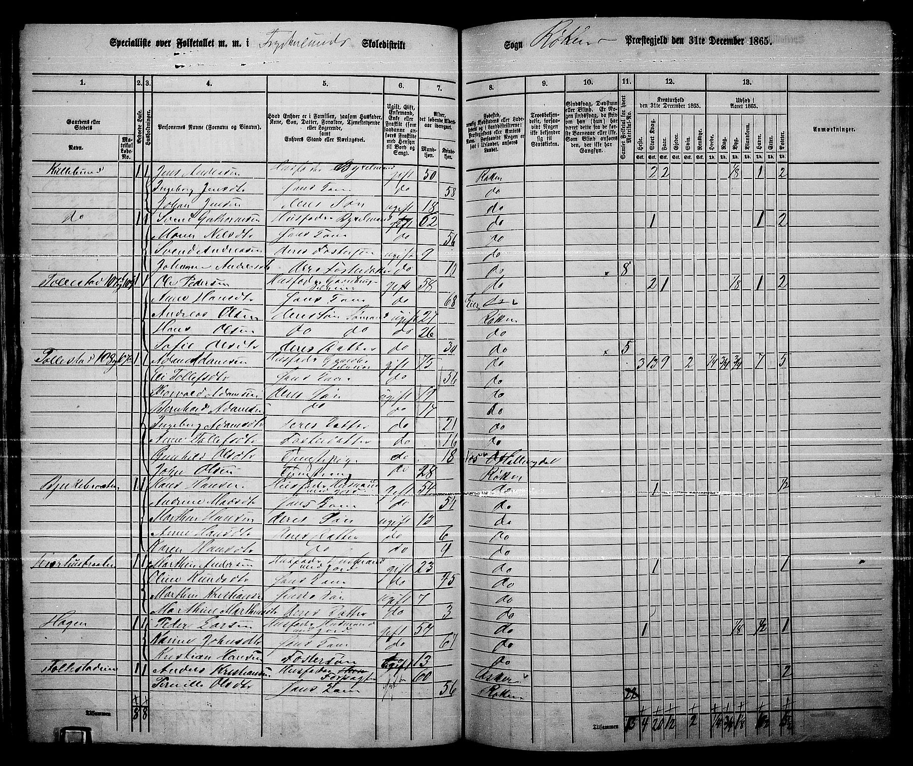 RA, 1865 census for Røyken, 1865, p. 97