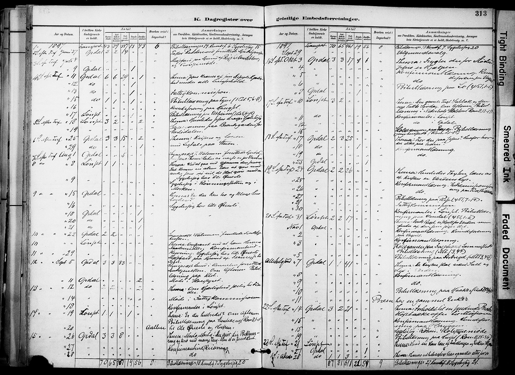 Ministerialprotokoller, klokkerbøker og fødselsregistre - Sør-Trøndelag, SAT/A-1456/678/L0902: Parish register (official) no. 678A11, 1895-1911, p. 313