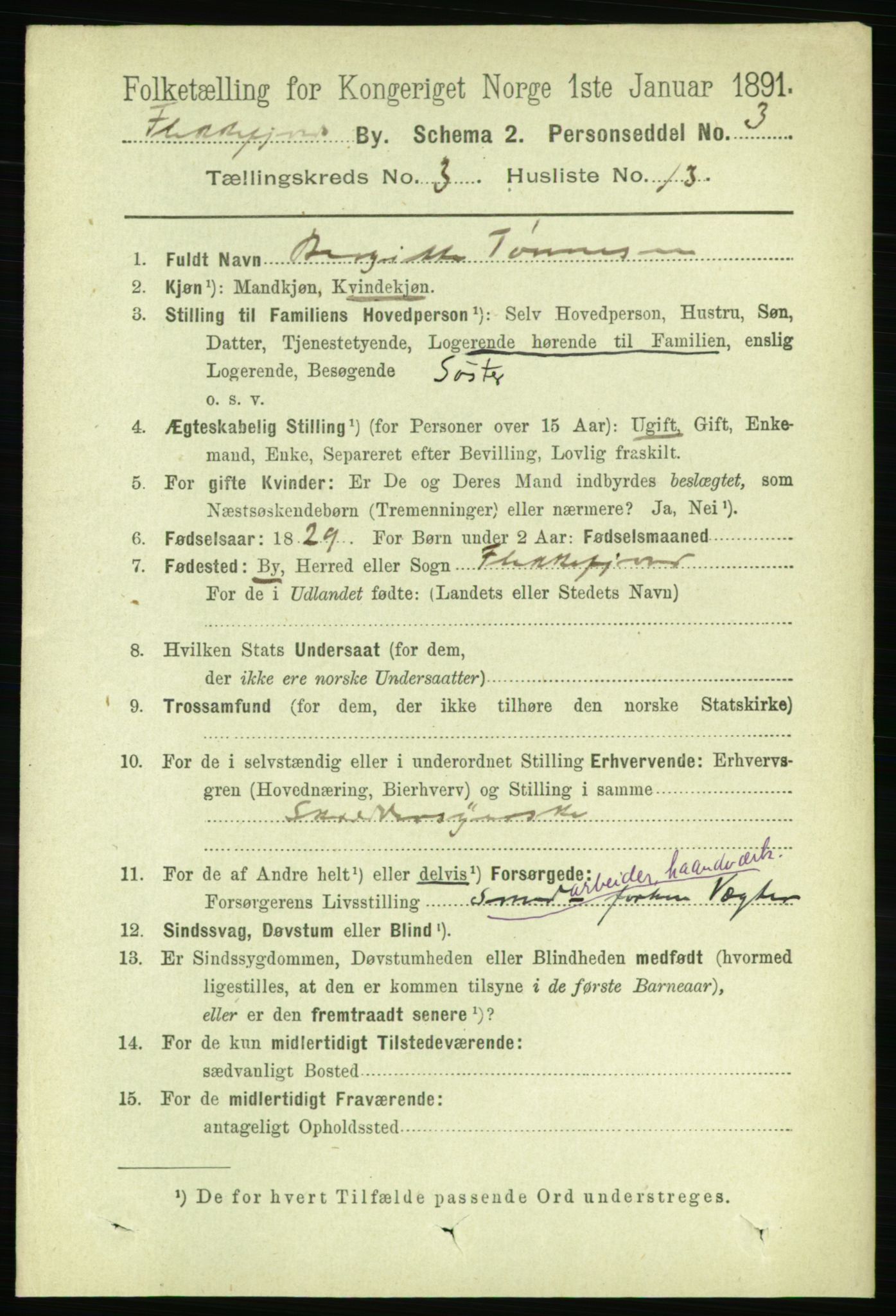 RA, 1891 census for 1004 Flekkefjord, 1891, p. 1021