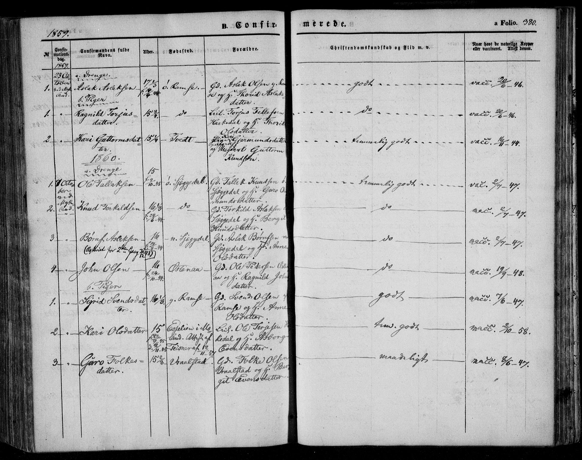 Åmli sokneprestkontor, SAK/1111-0050/F/Fa/Fac/L0008: Parish register (official) no. A 8, 1852-1869, p. 380