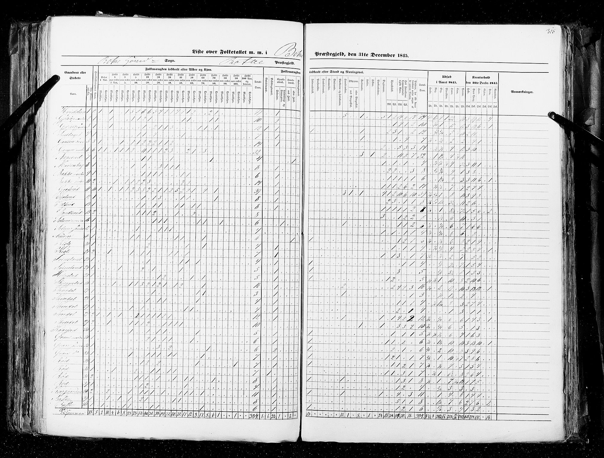 RA, Census 1845, vol. 4: Buskerud amt og Jarlsberg og Larvik amt, 1845, p. 315