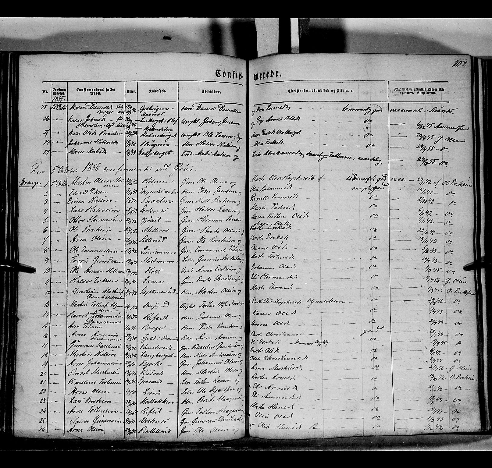 Grue prestekontor, AV/SAH-PREST-036/H/Ha/Haa/L0008: Parish register (official) no. 8, 1847-1858, p. 207